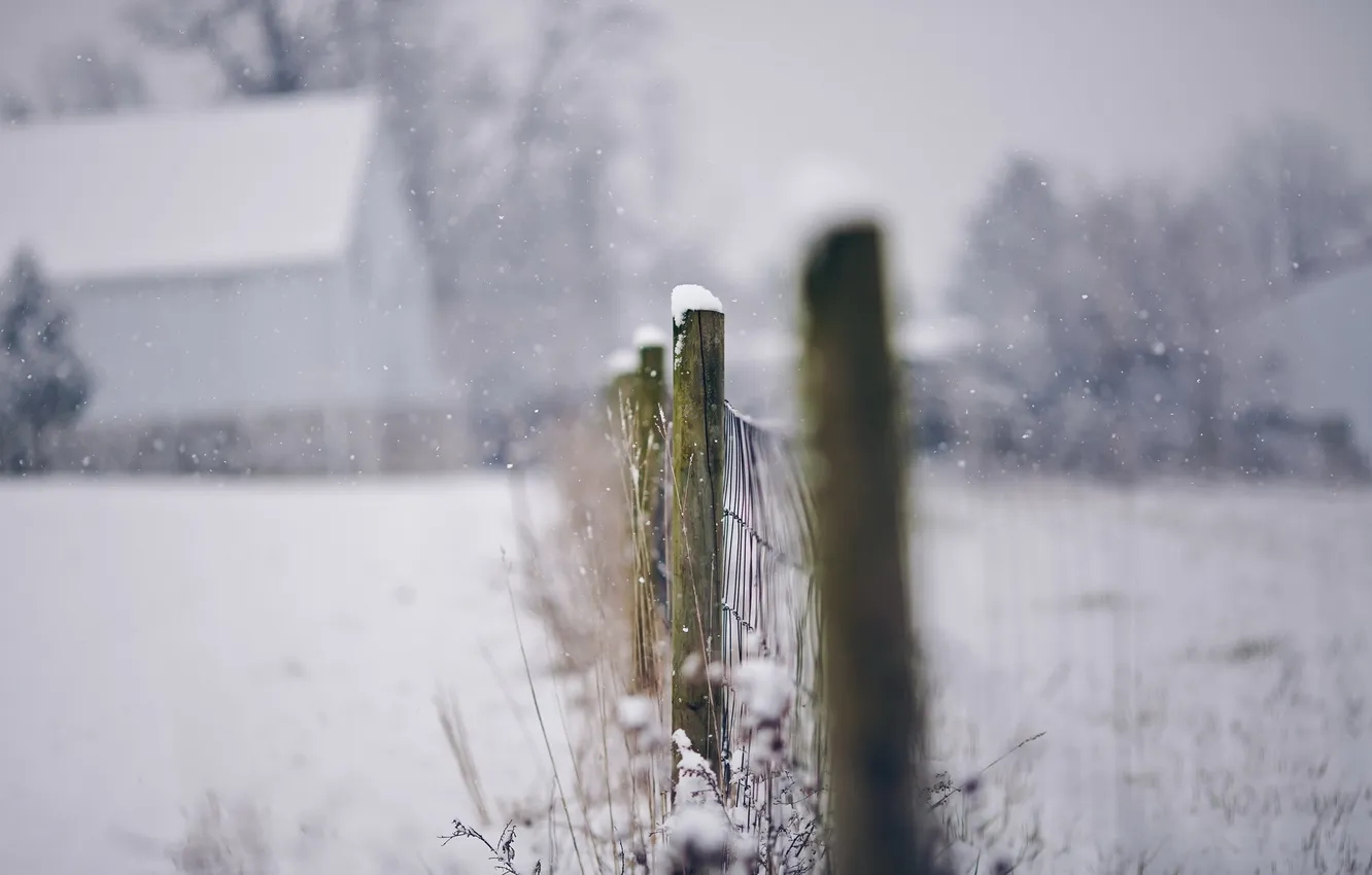 Фото обои зима, макро, забор