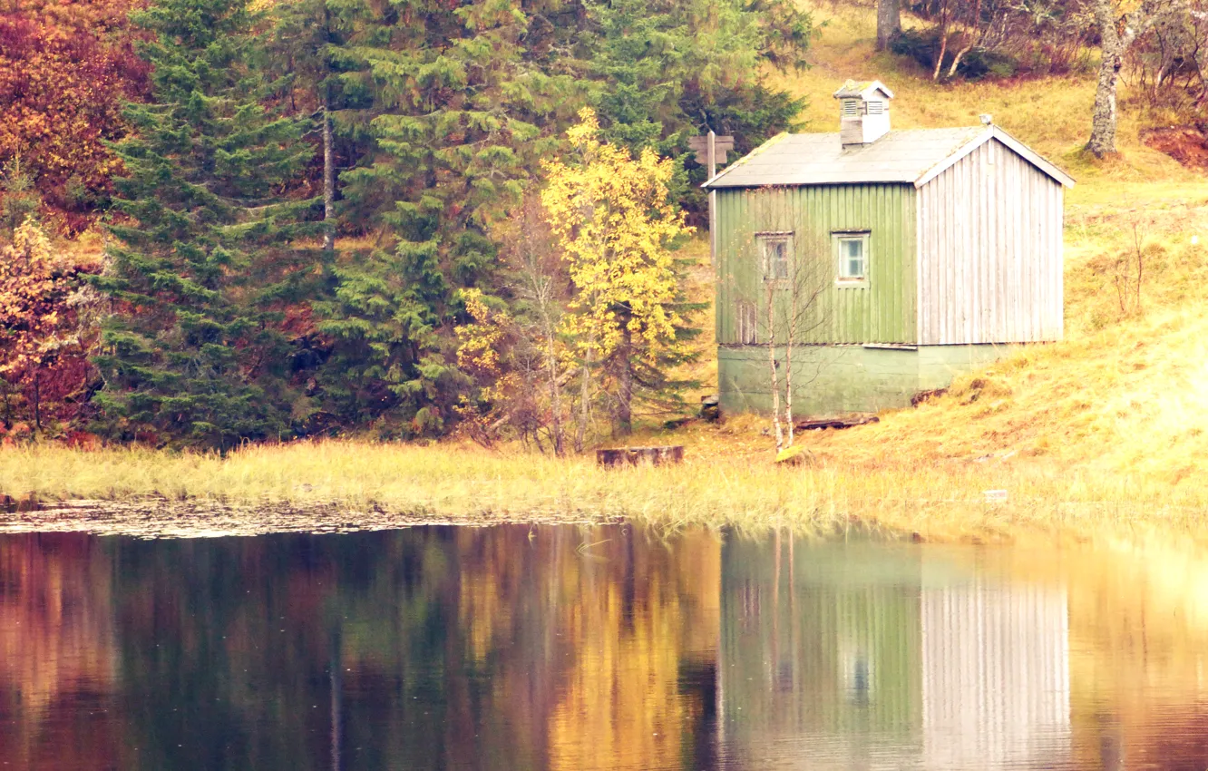 Фото обои осень, лес, озеро, Норвегия, домик