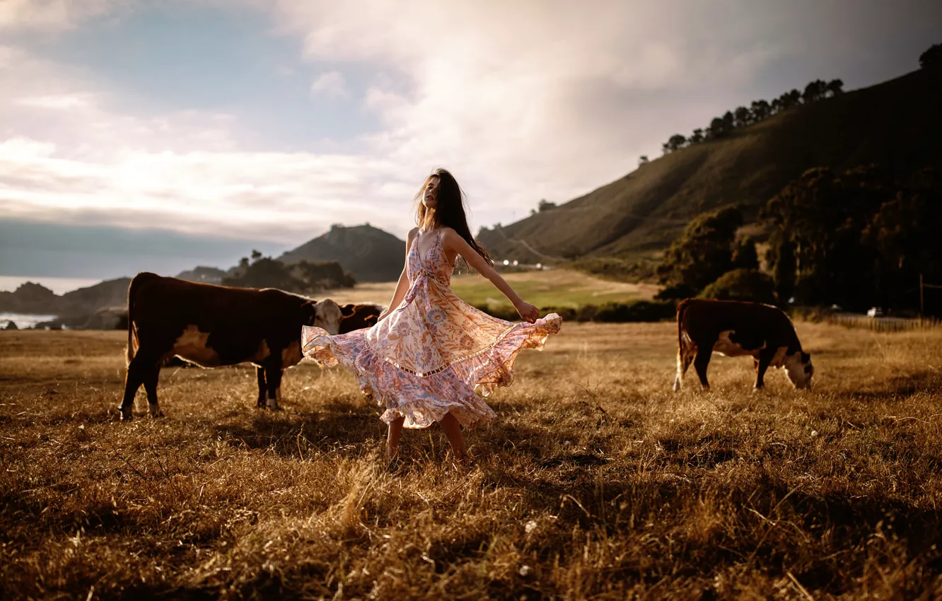 Фото обои девушка, танец, коровы, Jesse Herzog, Raluca
