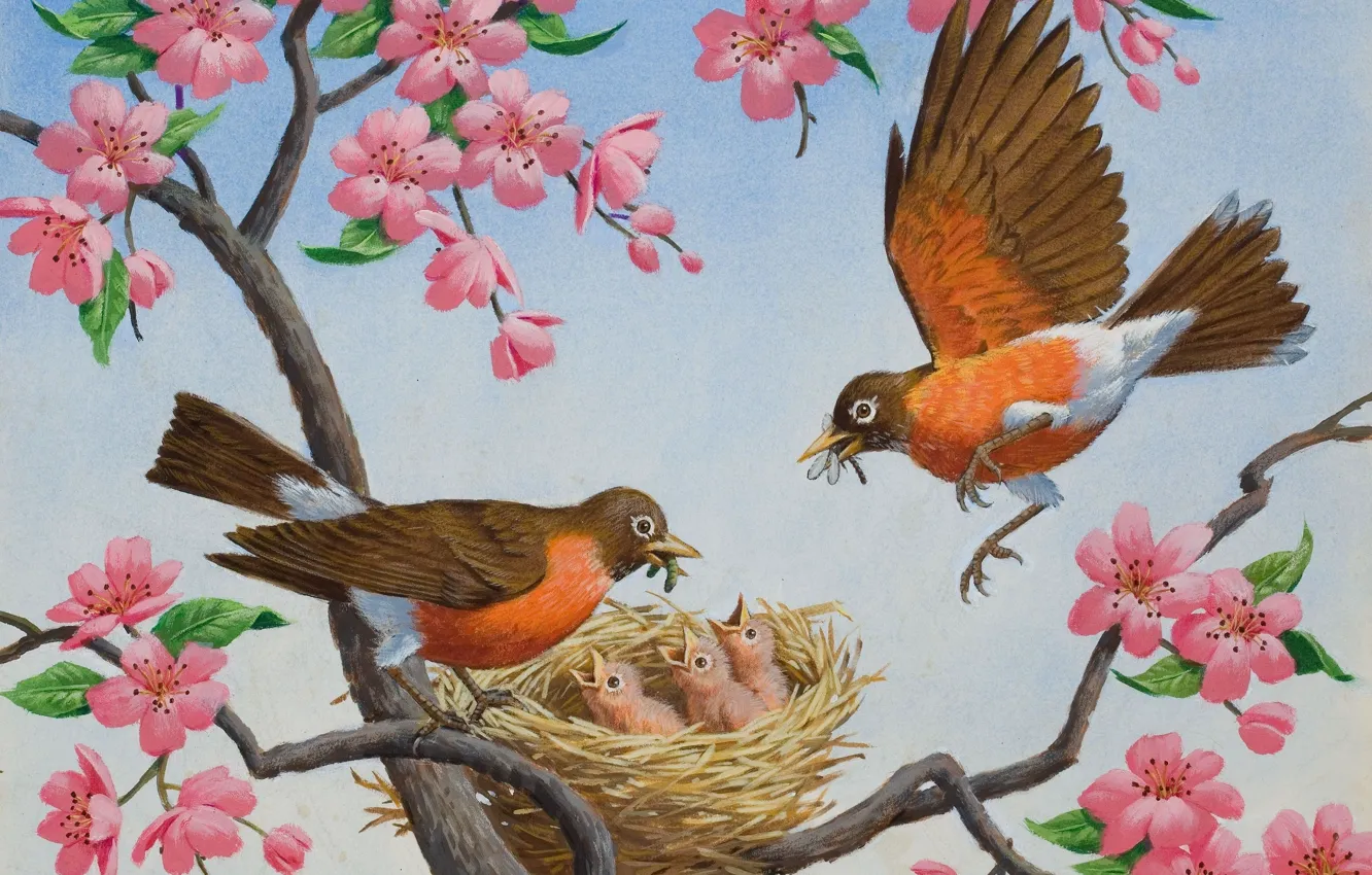 Фото обои цветы, весна, арт, гнездо, птичка, фрагмент, Arthur Saron Sarnoff