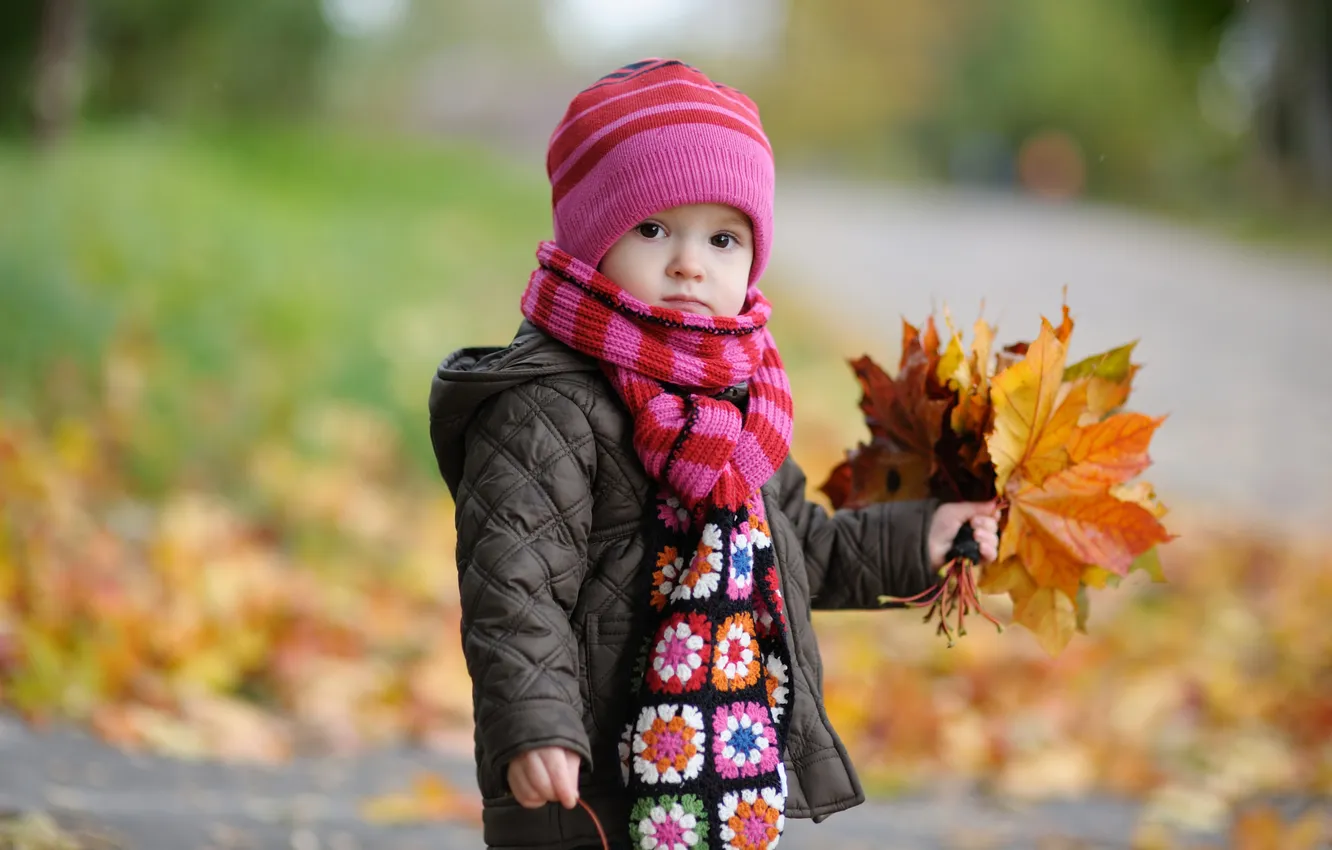 Фото обои осень, шапка, букет, шарф, куртка, ребёнок, кленовые листья