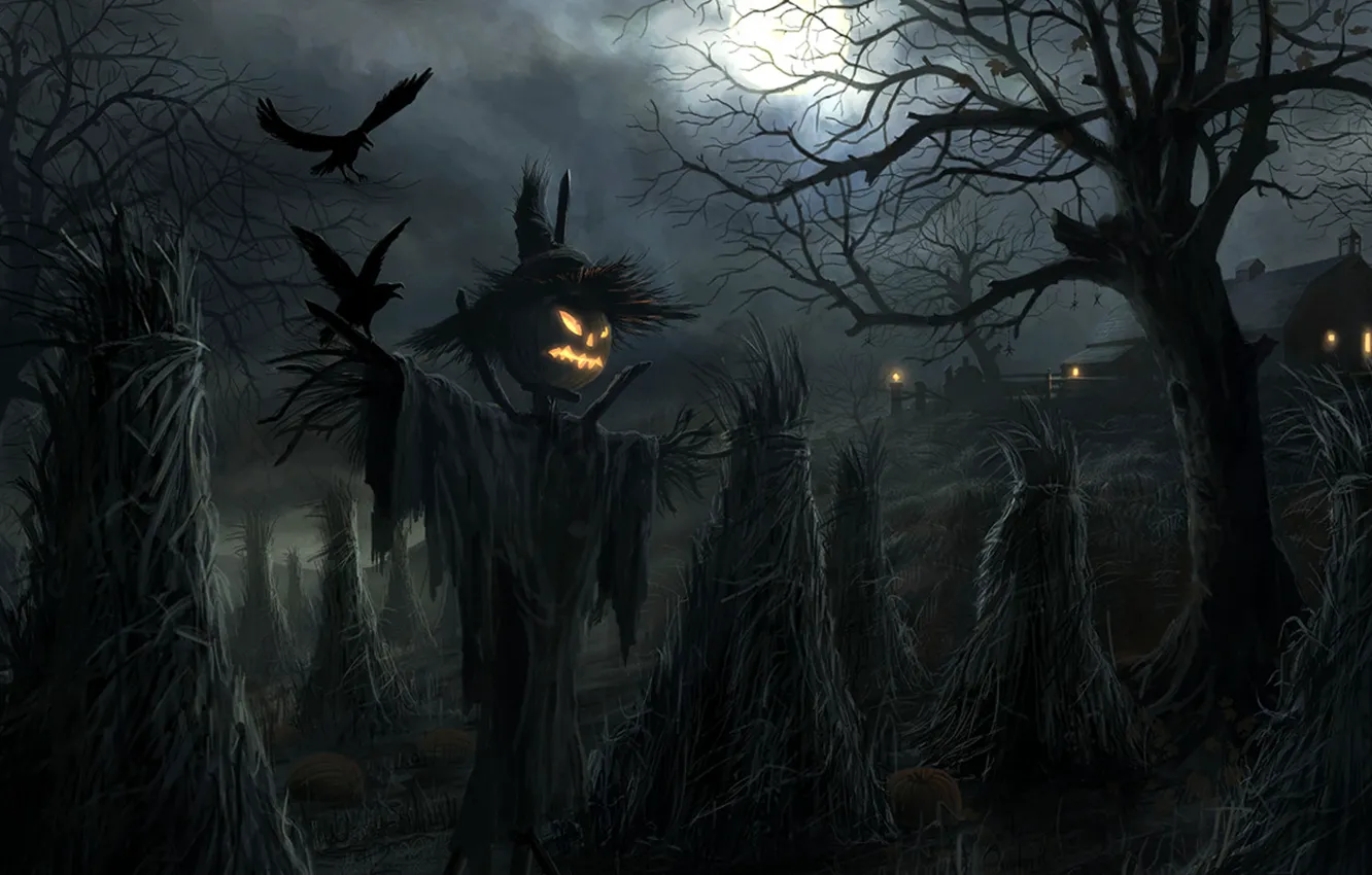 Фото обои вороны, хэллоуин, пугало