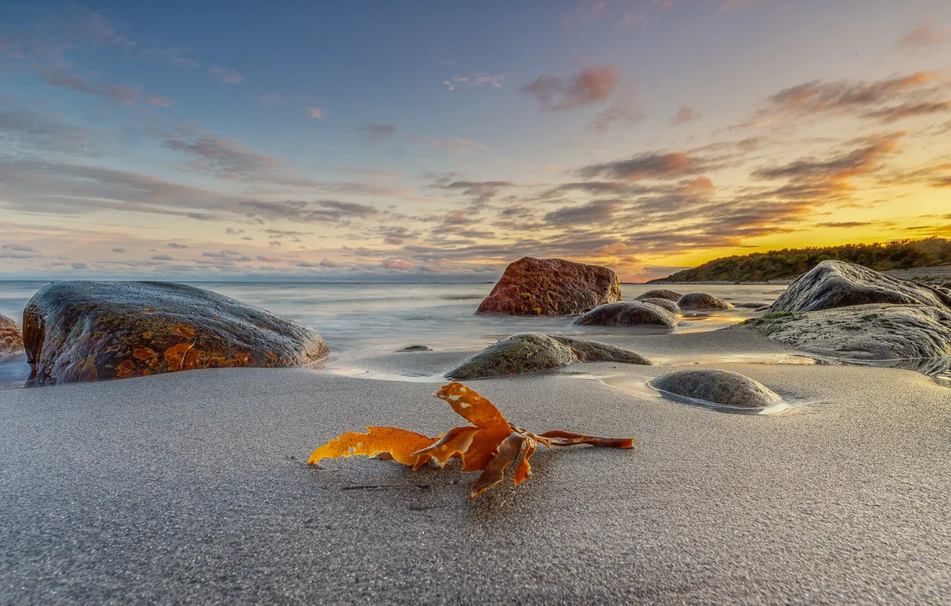 Фото обои камни, побережье, Норвегия, Raet National Park