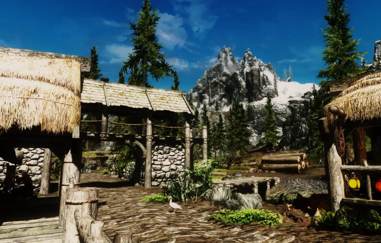 Фото обои the elder scrolls, скайрим, Skyrim, tes:5