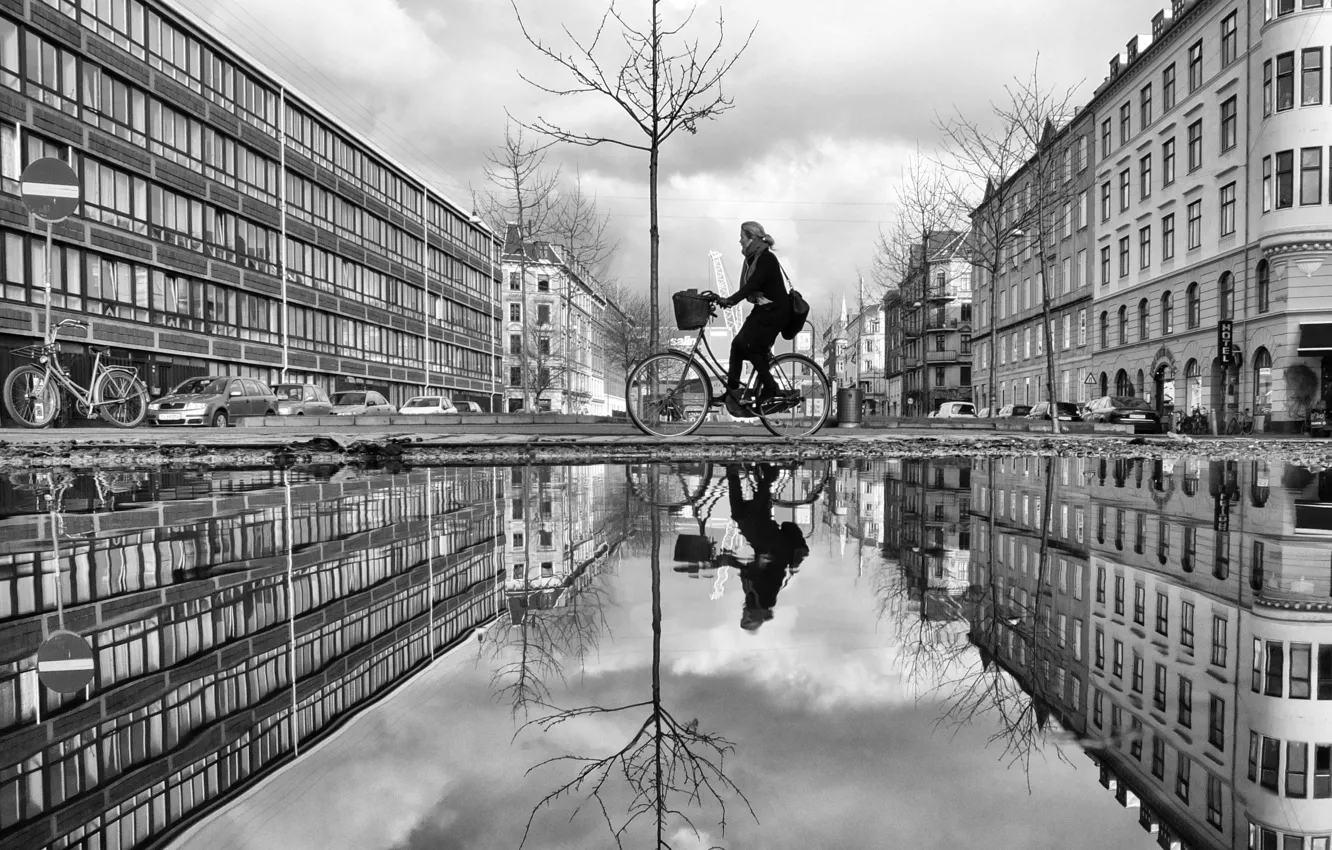 Фото обои велосипед, отражение, дерево, знак, улица, женщина, здания, зеркало