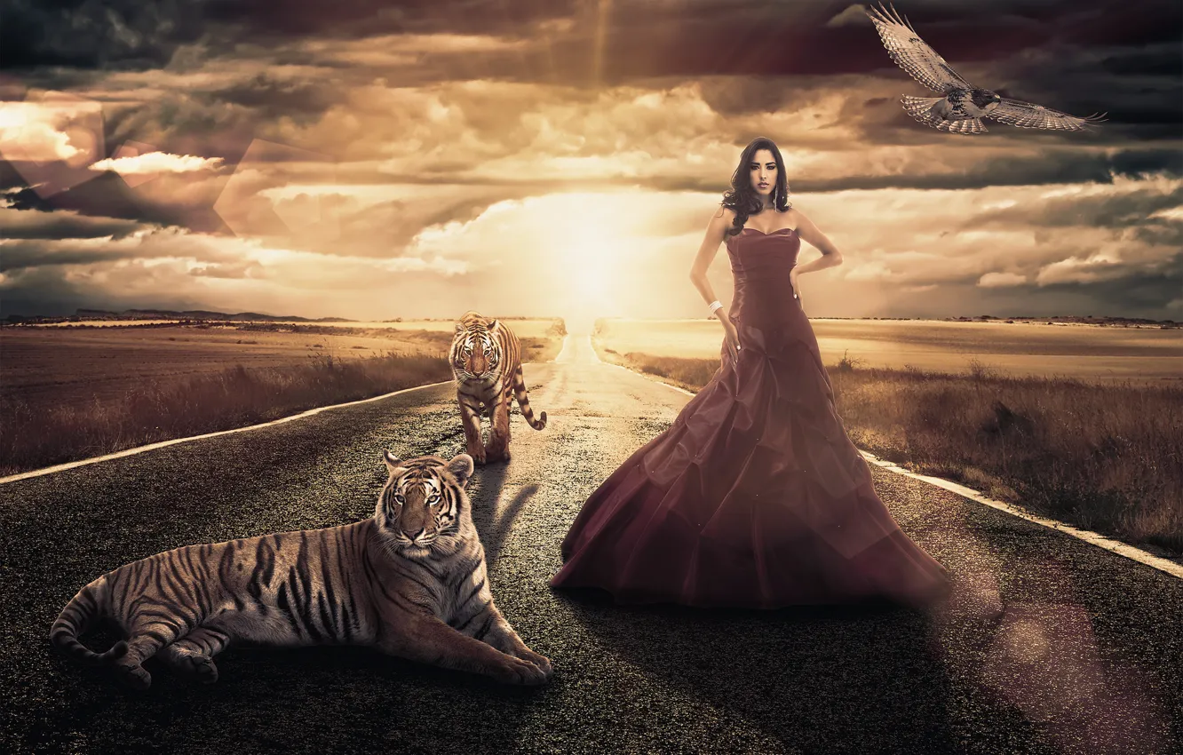Фото обои дорога, девушка, птица, поля, платье, тигры, Andreza Alves