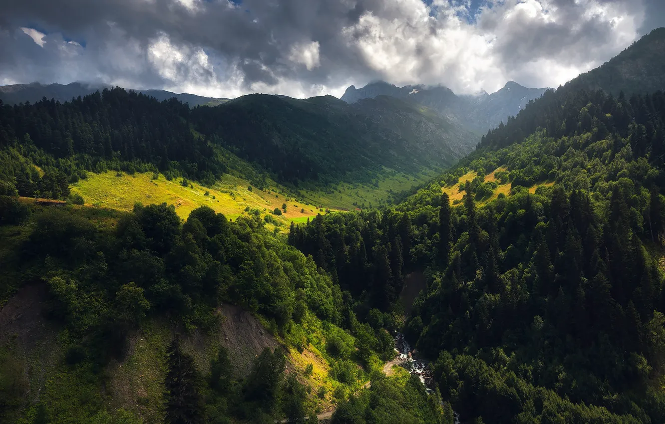 Фото обои лес, облака, деревья, горы, туман, холмы, склоны, даль