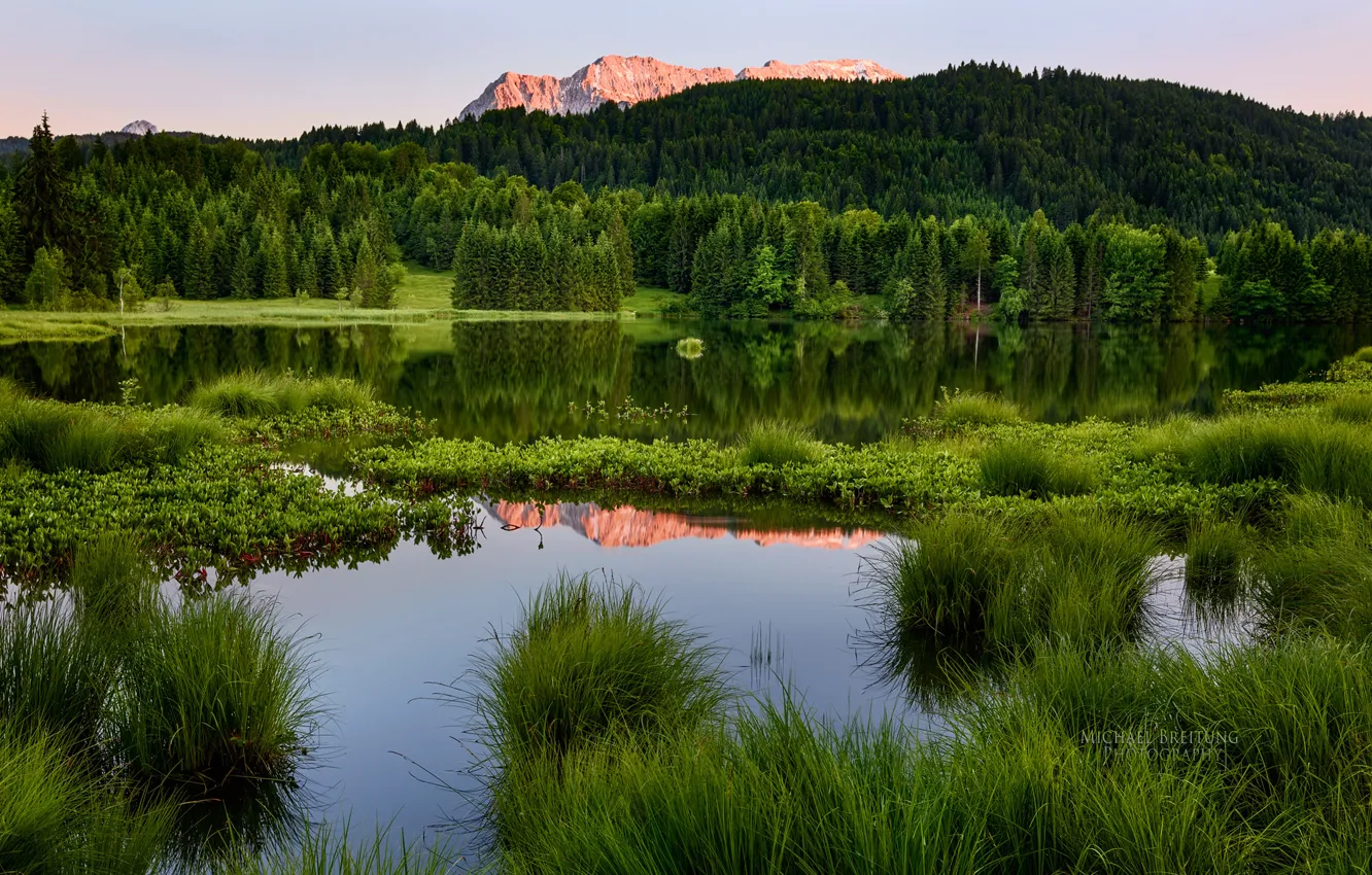 Фото обои лес, лето, пейзаж, горы, водоём, Michael Breitung