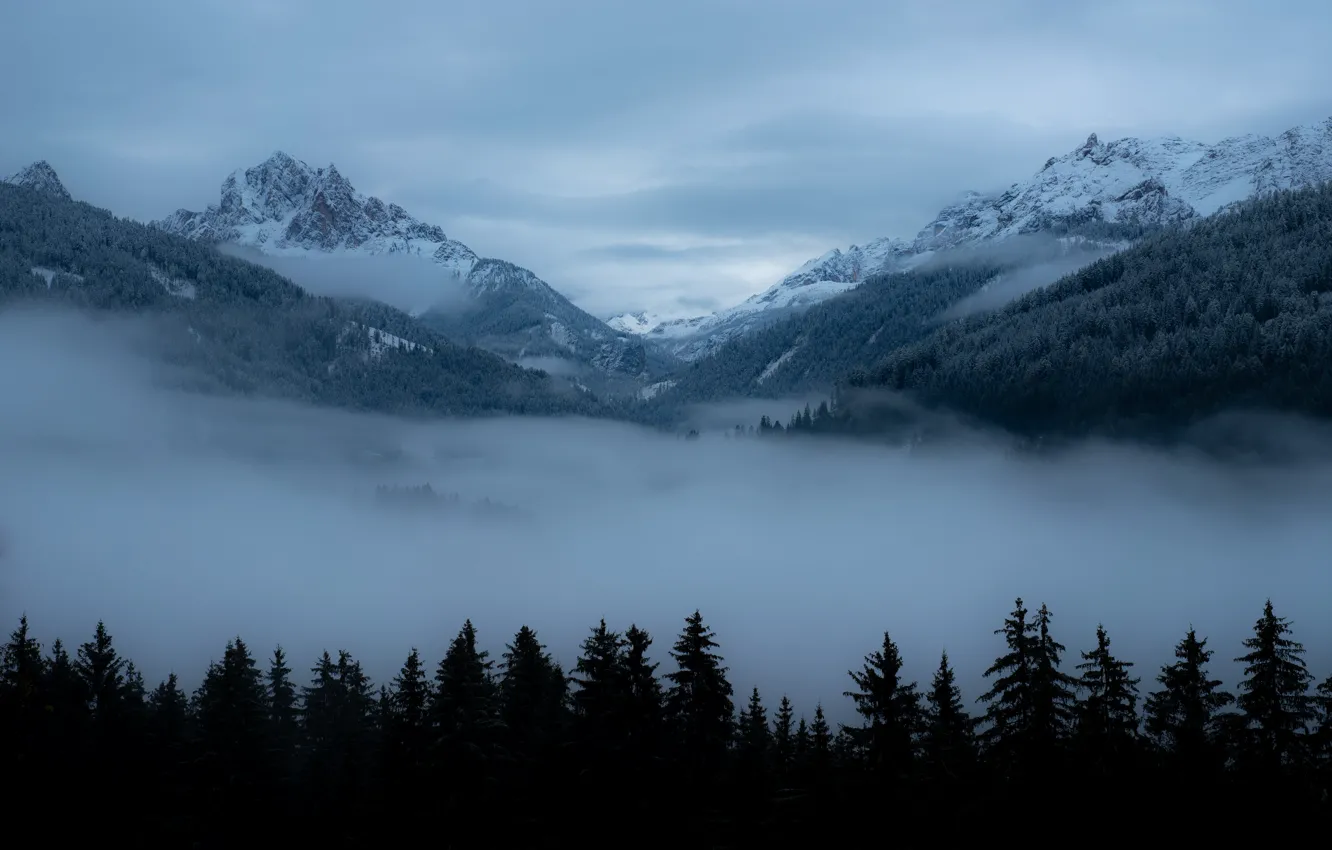 Фото обои зима, небо, облака, снег, деревья, горы, природа, туман