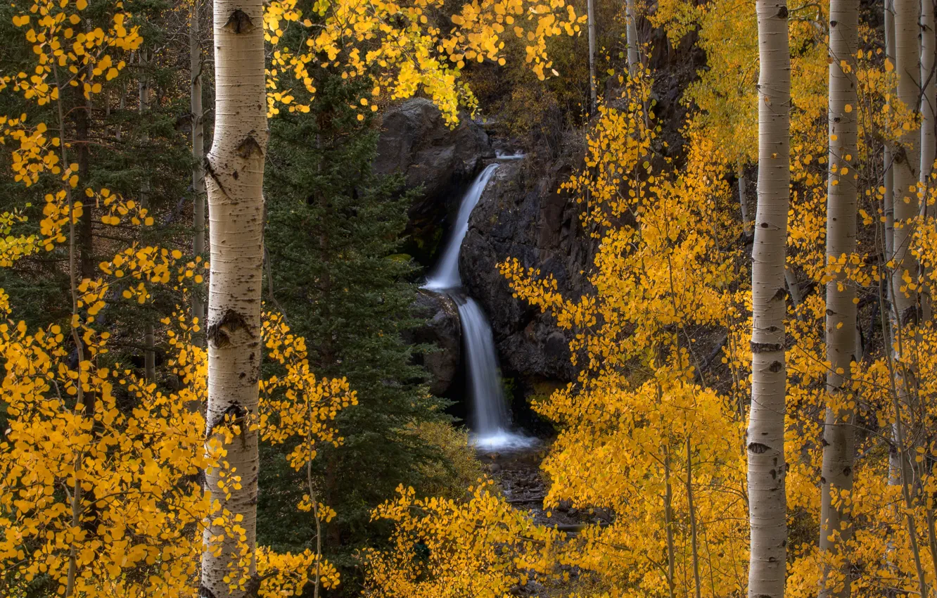 Фото обои осень, листва, водопад