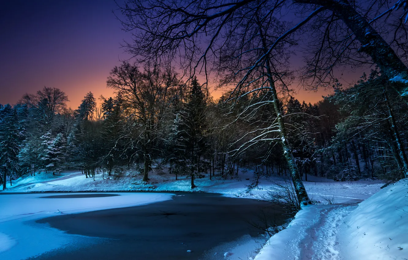 Фото обои зима, ночь, природа