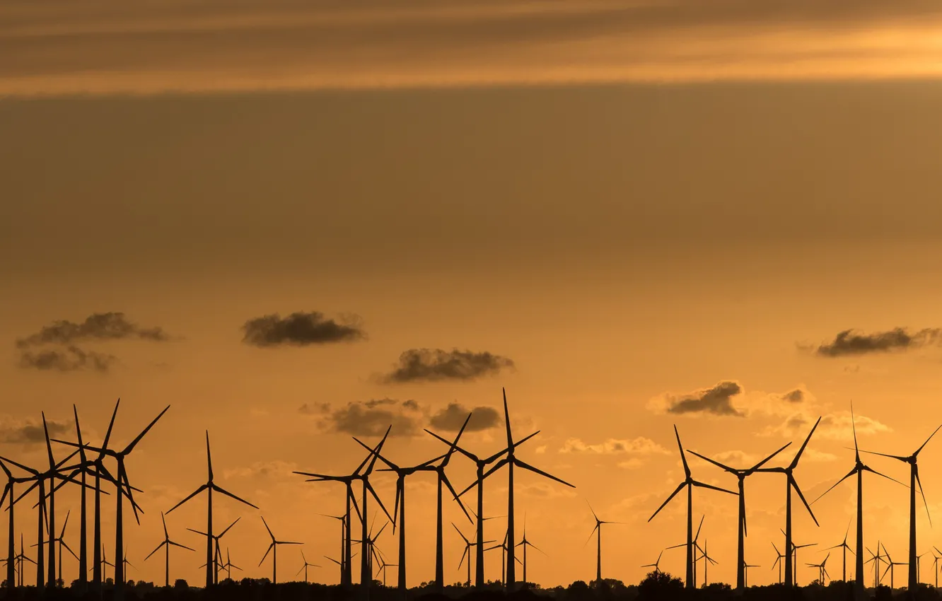 Фото обои ночь, ветряки, wind power