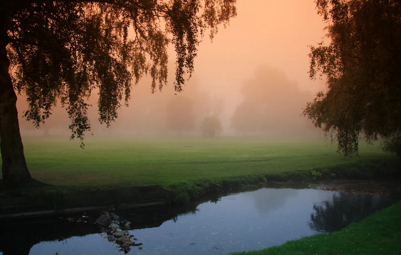 Фото обои деревья, природа, туман, утро, канал