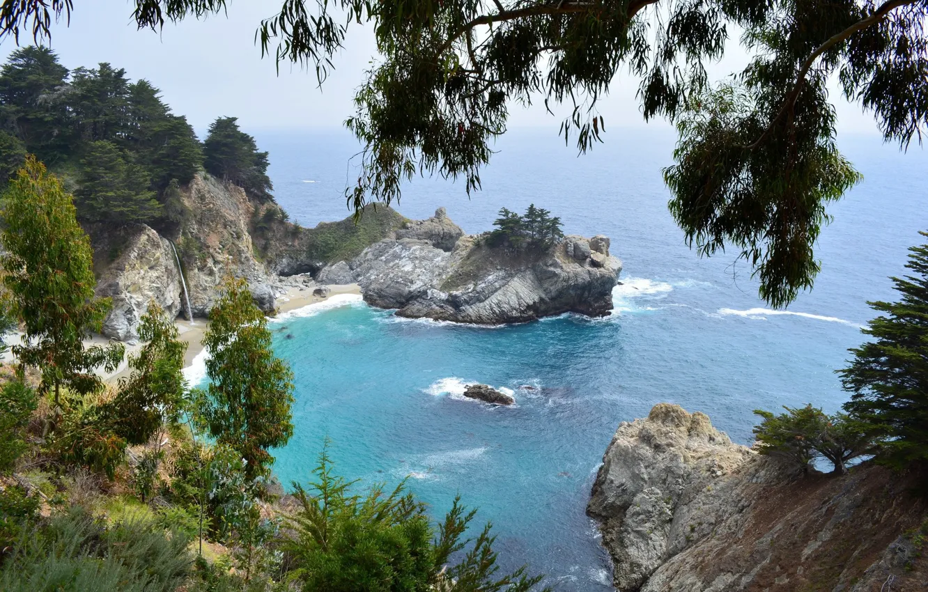 Фото обои деревья, природа, утро