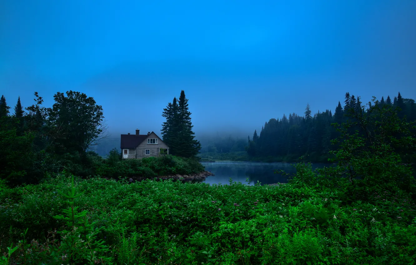 Фото обои зелень, лес, вода, деревья, туман, дом, Канада, речка