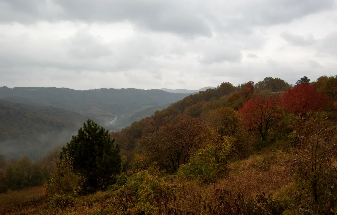 Фото обои горы, туман, холмы, Осень, autumn, mountains, fog, fall