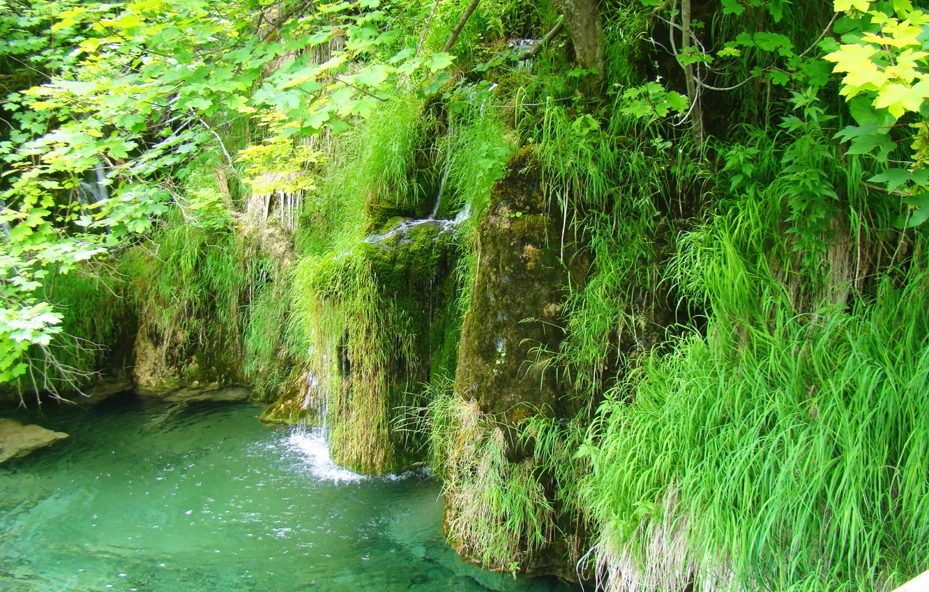 Фото обои зелень, вода, озеро, водопад, прозрачная, водоём, Хорватия, национальный парк