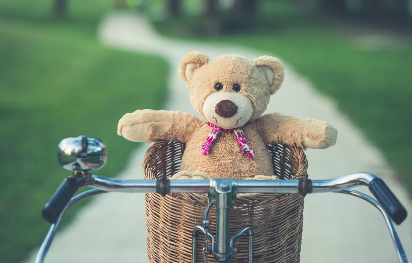 Фото обои лето, велосипед, корзина, игрушка, медведь, мишка, summer, vintage