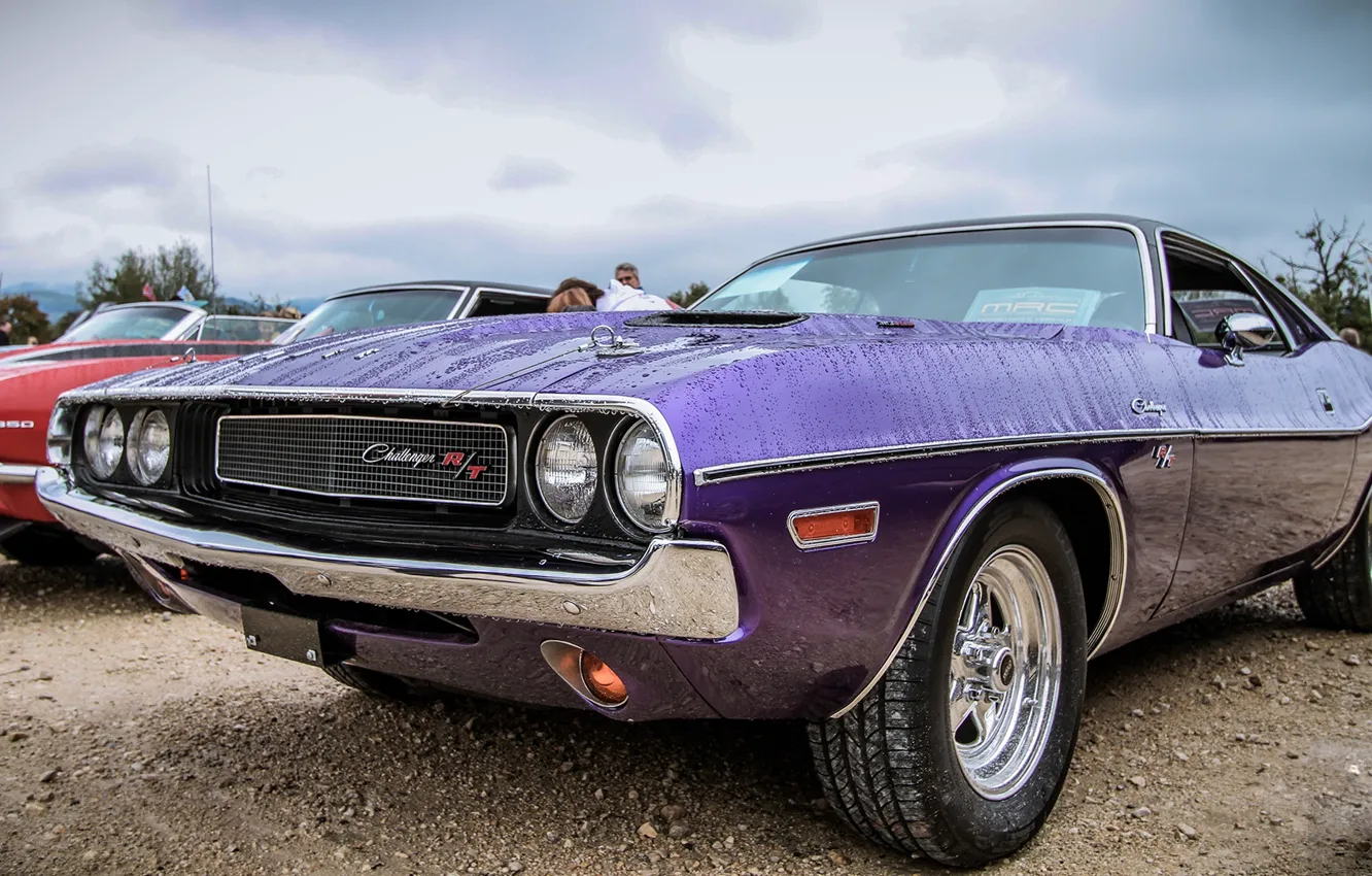 Фото обои фиолетовый, Dodge, Dodge Challenger 1971