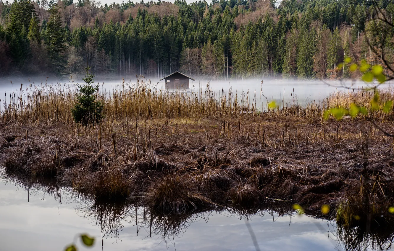 Фото обои осень, избушка, Германия, Бавария, дымка, Hackensee