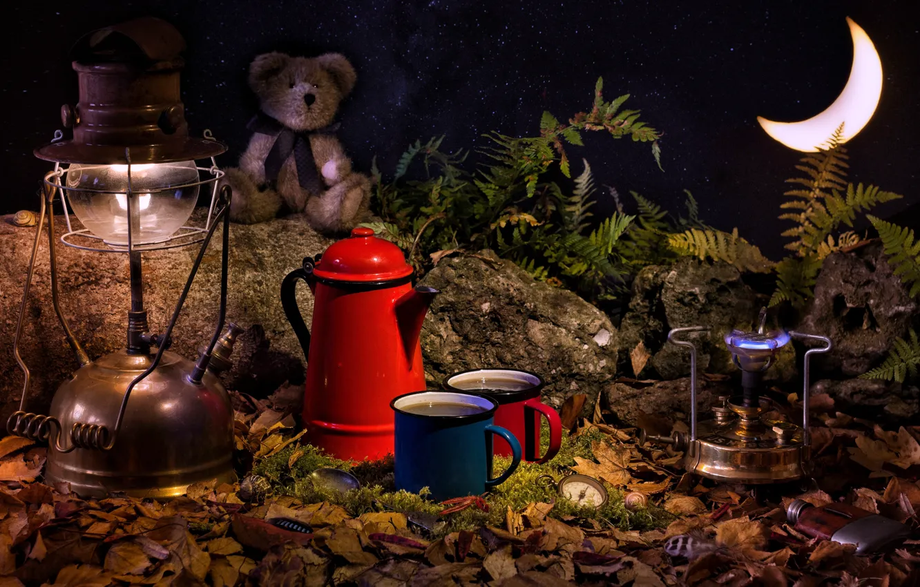 Фото обои листья, камни, игрушка, часы, лампа, месяц, медведь, кружки