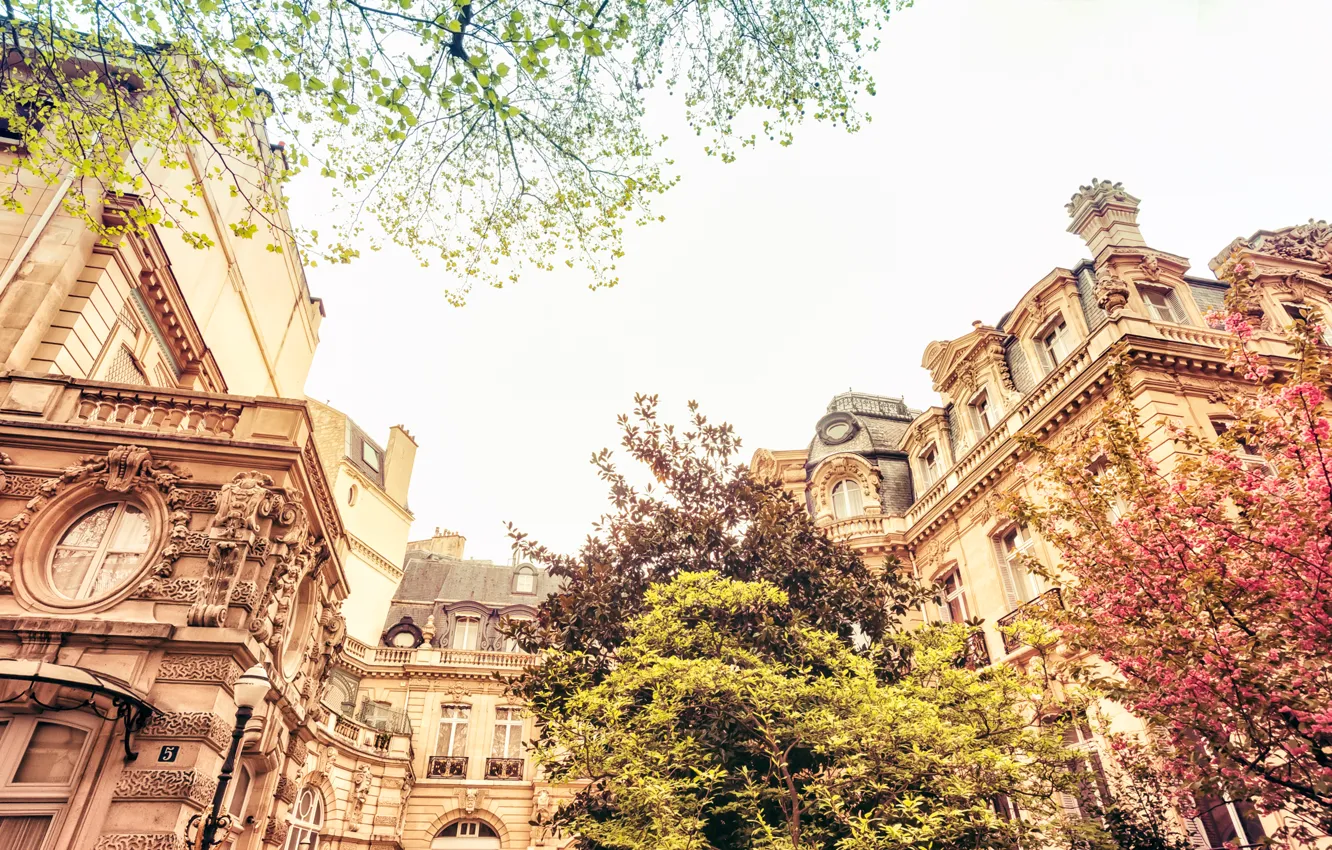 Фото обои деревья, природа, город, Франция, Париж, здания, дома, весна