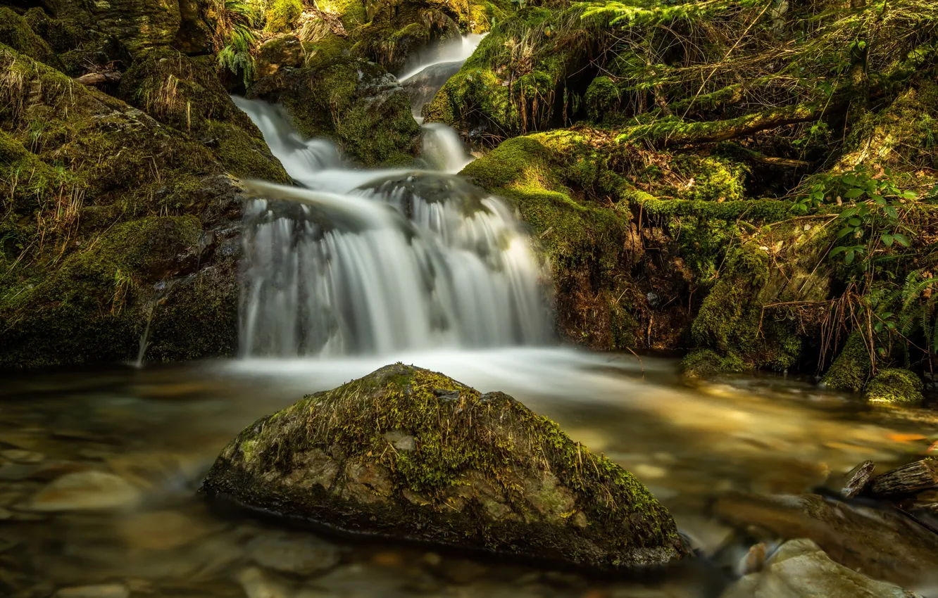 Фото обои ручей, камень, Англия, водопад, мох, речка, каскад, Уэльс