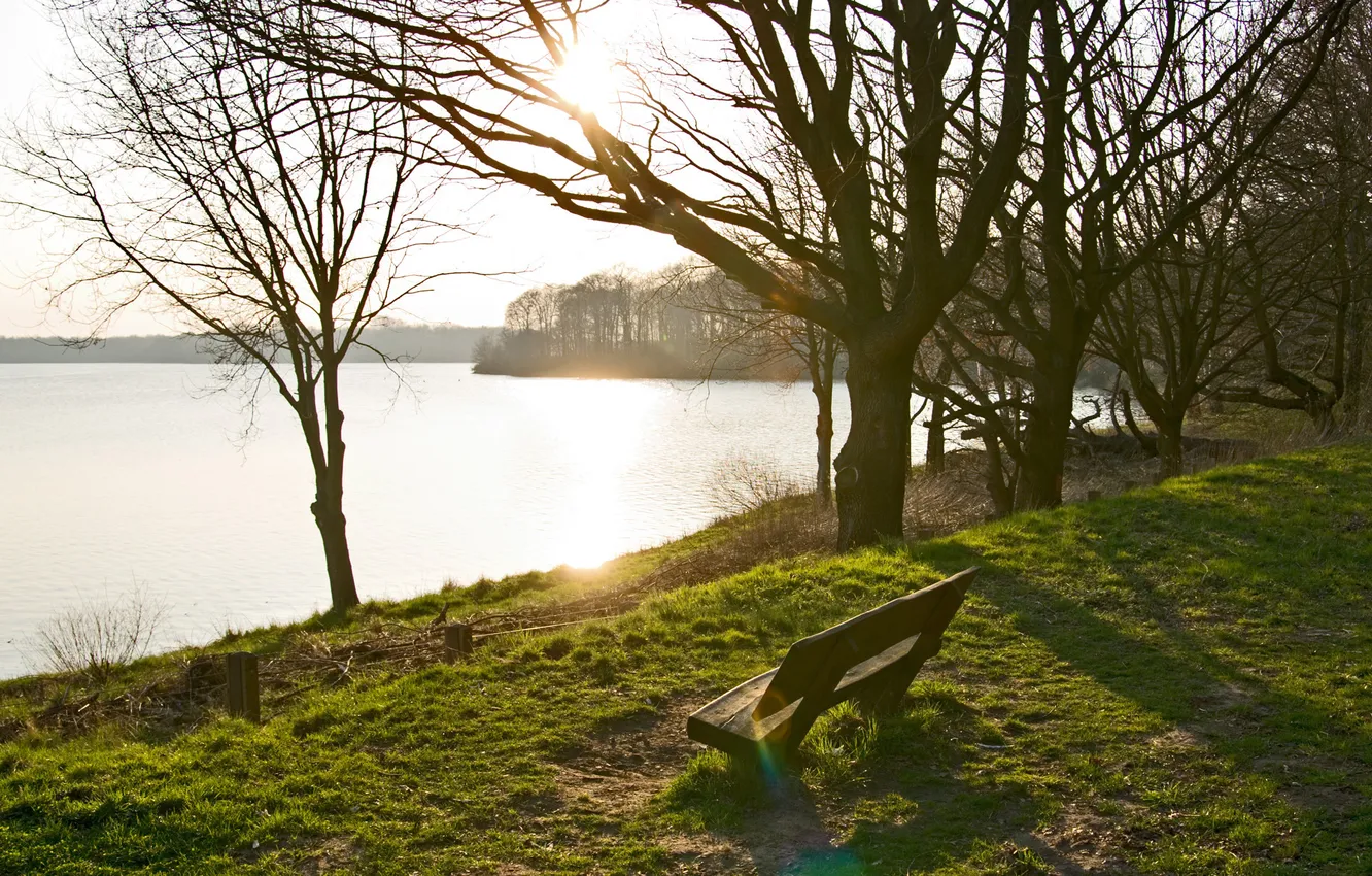 Фото обои солнце, деревья, скамейка, озеро, весна, лужайка