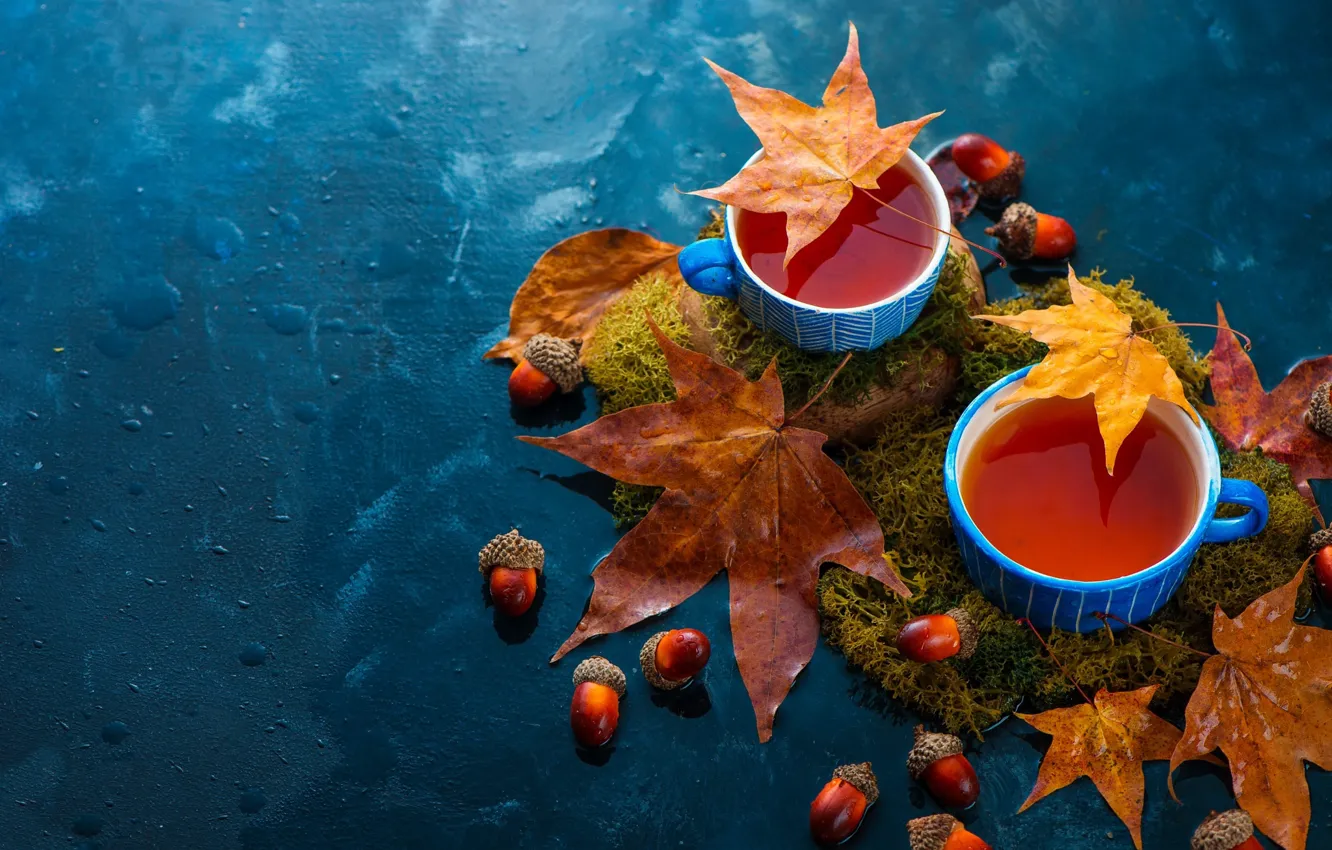 Фото обои осень, листья, чай, мох, чашки, напиток, кружки, натюрморт