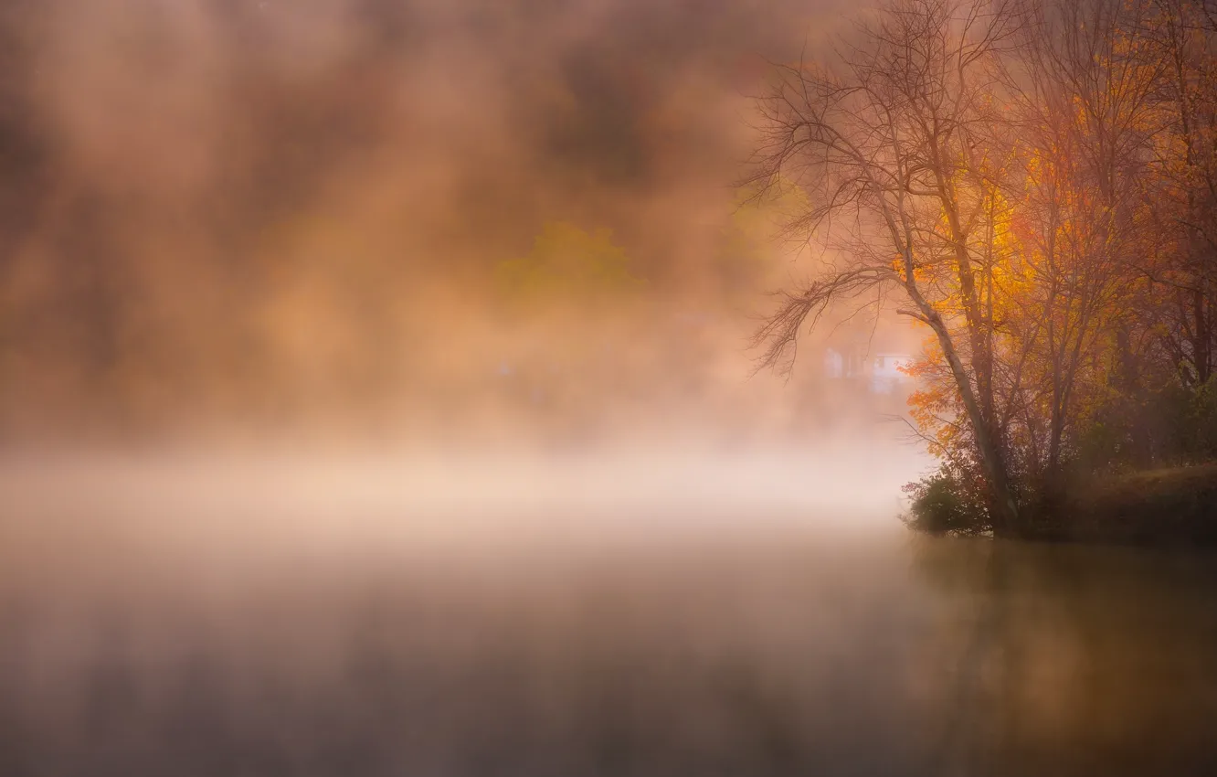 Фото обои осень, туман, озеро, парк