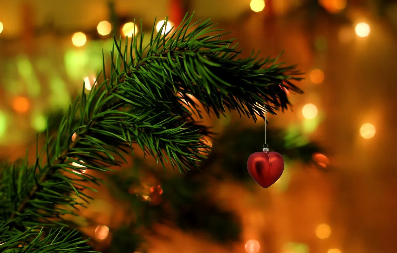 Фото обои иголки, праздник, сердце, елка, ветка, украшение