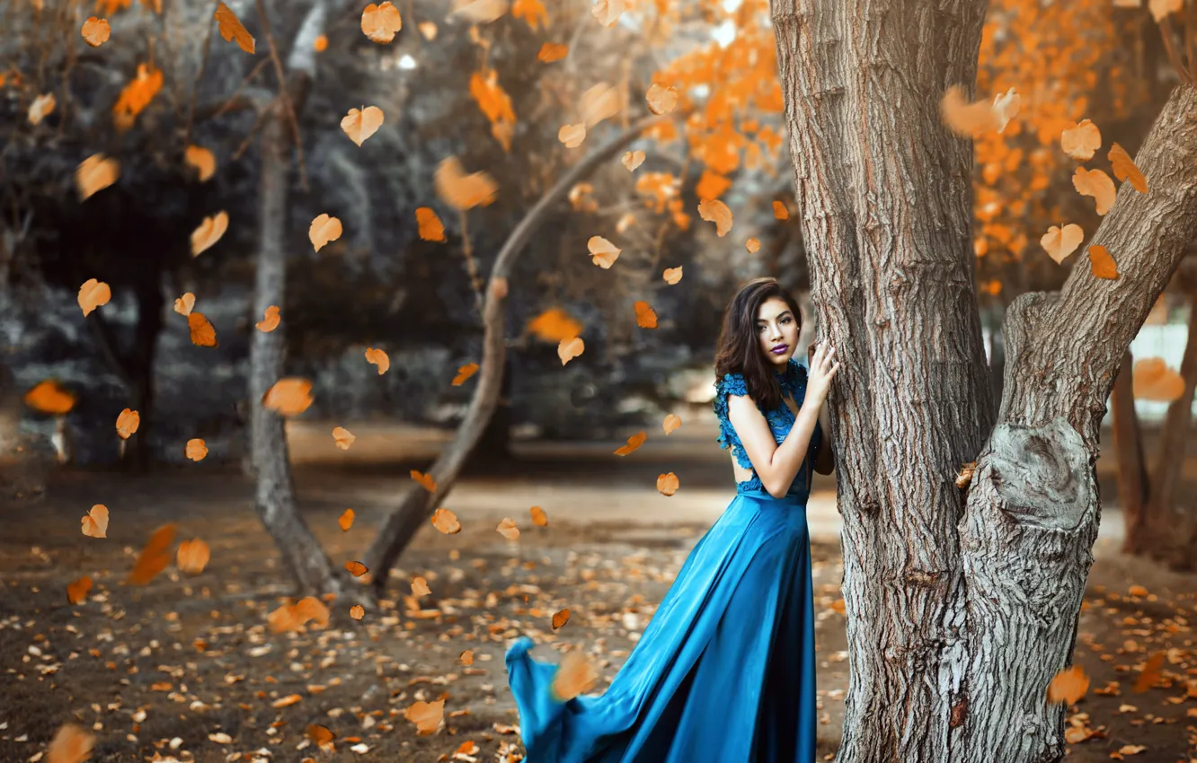 Фото обои макияж, платье, листопад, в синем, Ronny Garcia, When the fall is here