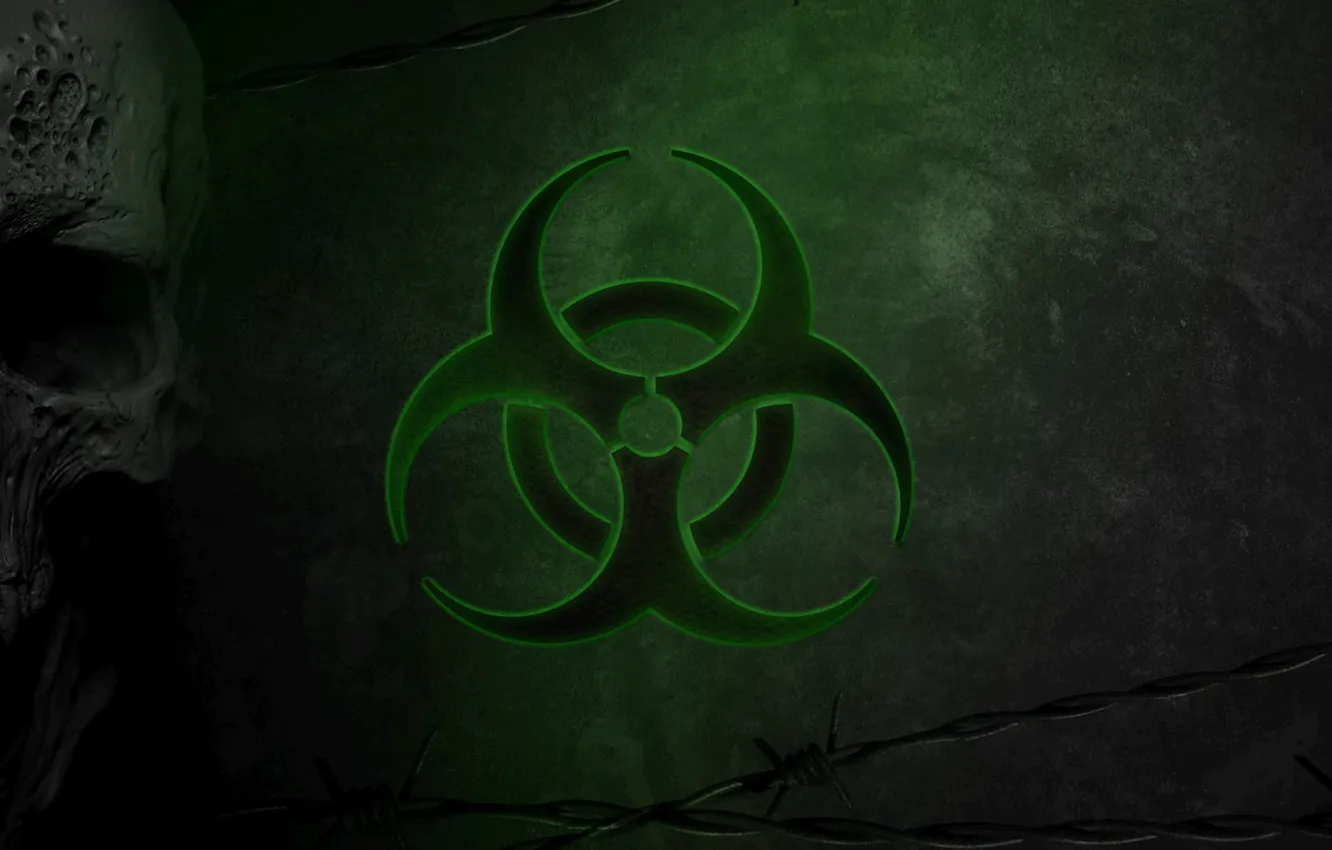 Фото обои Череп, Зеленый, Вирус, Green, Skull, Biohazard, Опасность