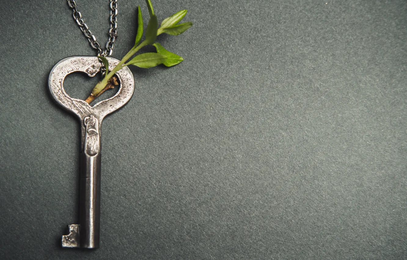 Фото обои ветка, ключ, love, heart, key, romantic