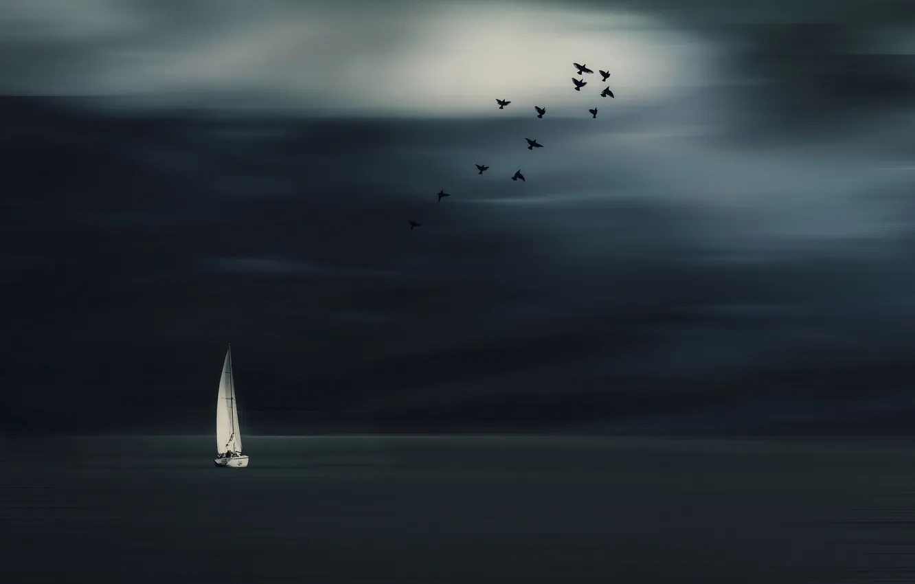 Фото обои море, птицы, ночь, лодка