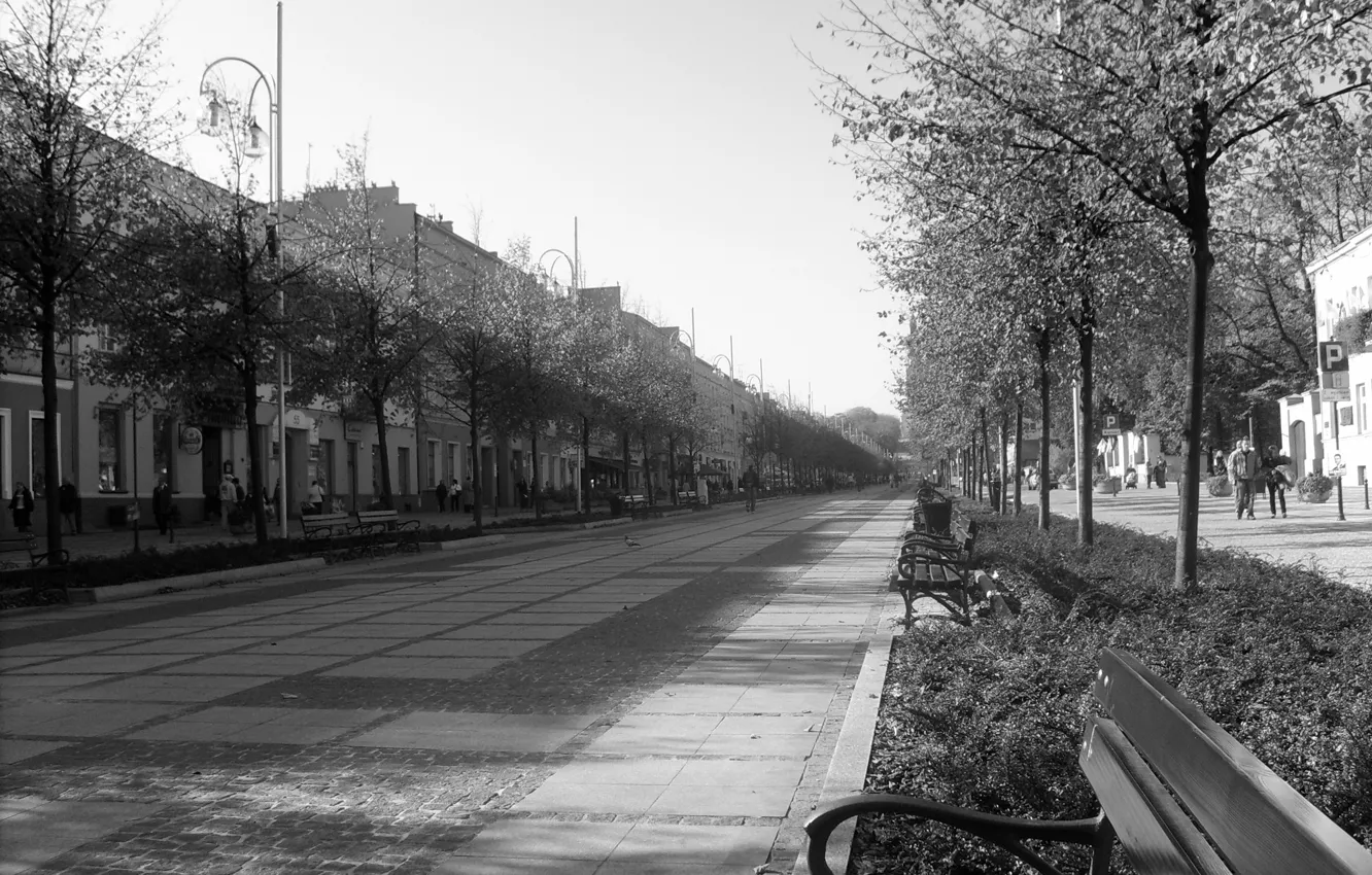 Фото обои city, alley, black white
