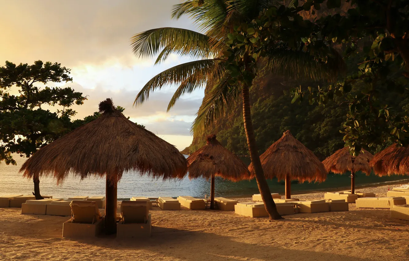 Фото обои пляж, пальмы, океан, зонтики, Карибы, гора Питон, St. Lucia