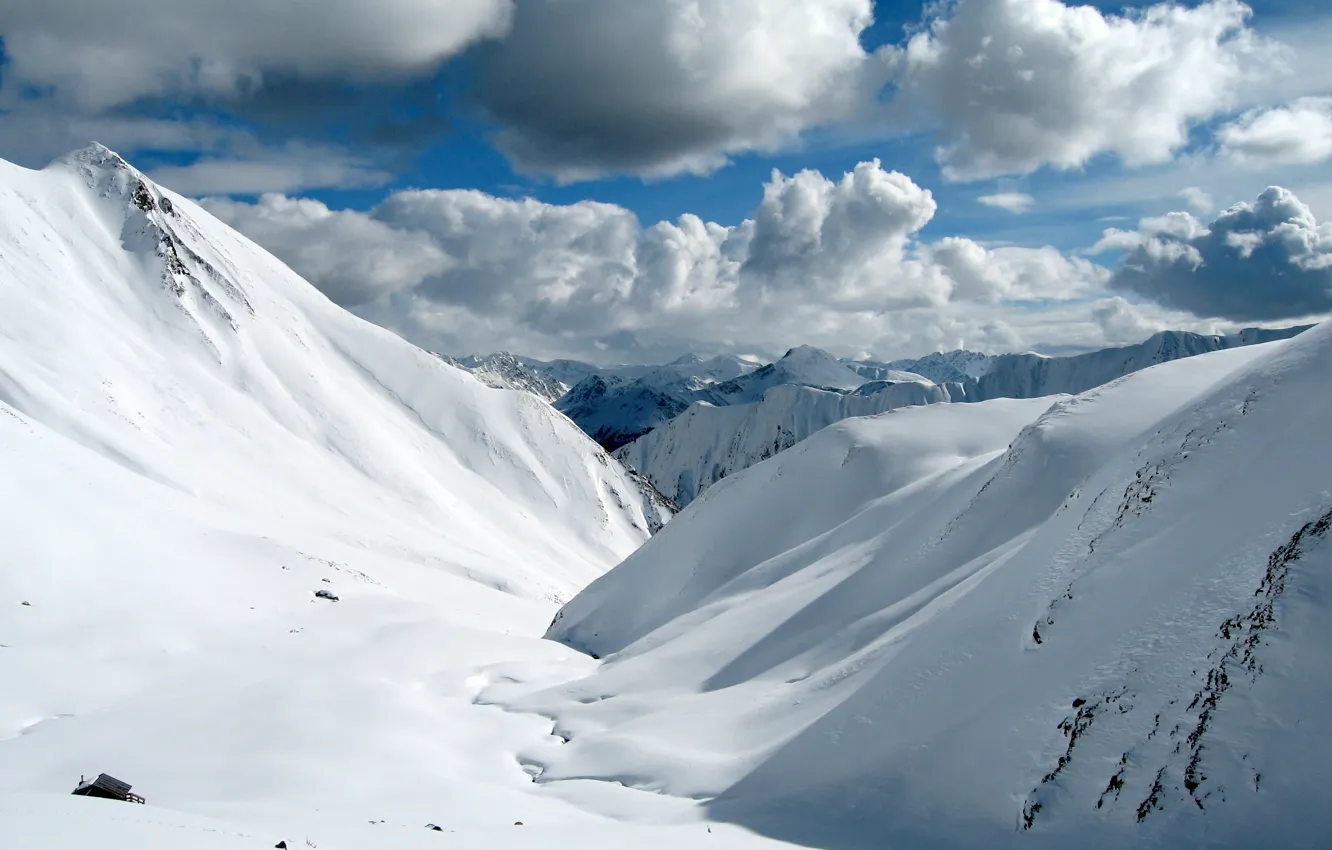Фото обои wallpaper, nature, snow