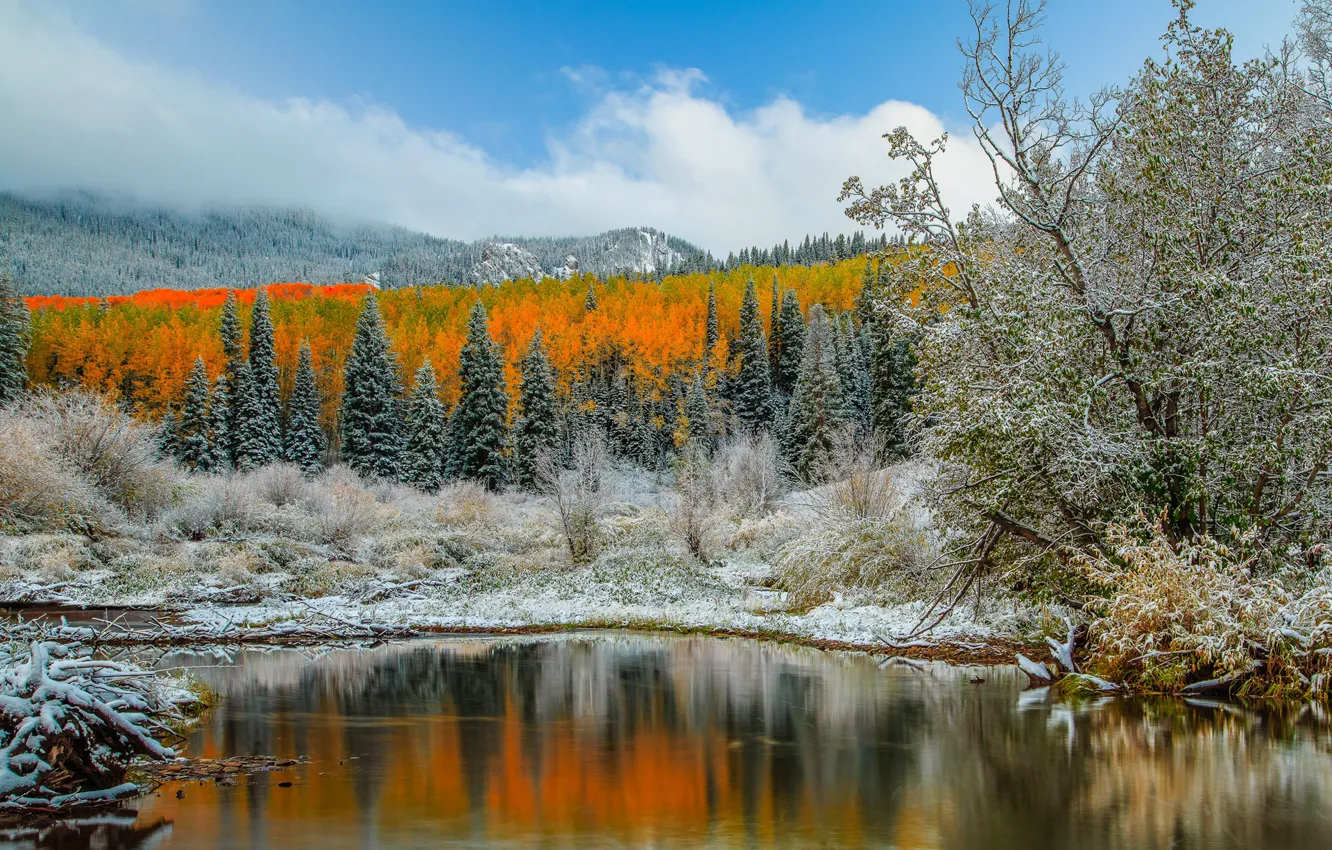 Фото обои осень, горы, озеро, Колорадо, США, Аспен