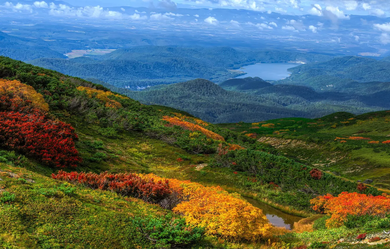 Фото обои осень, лес, горы, природа, панорамма