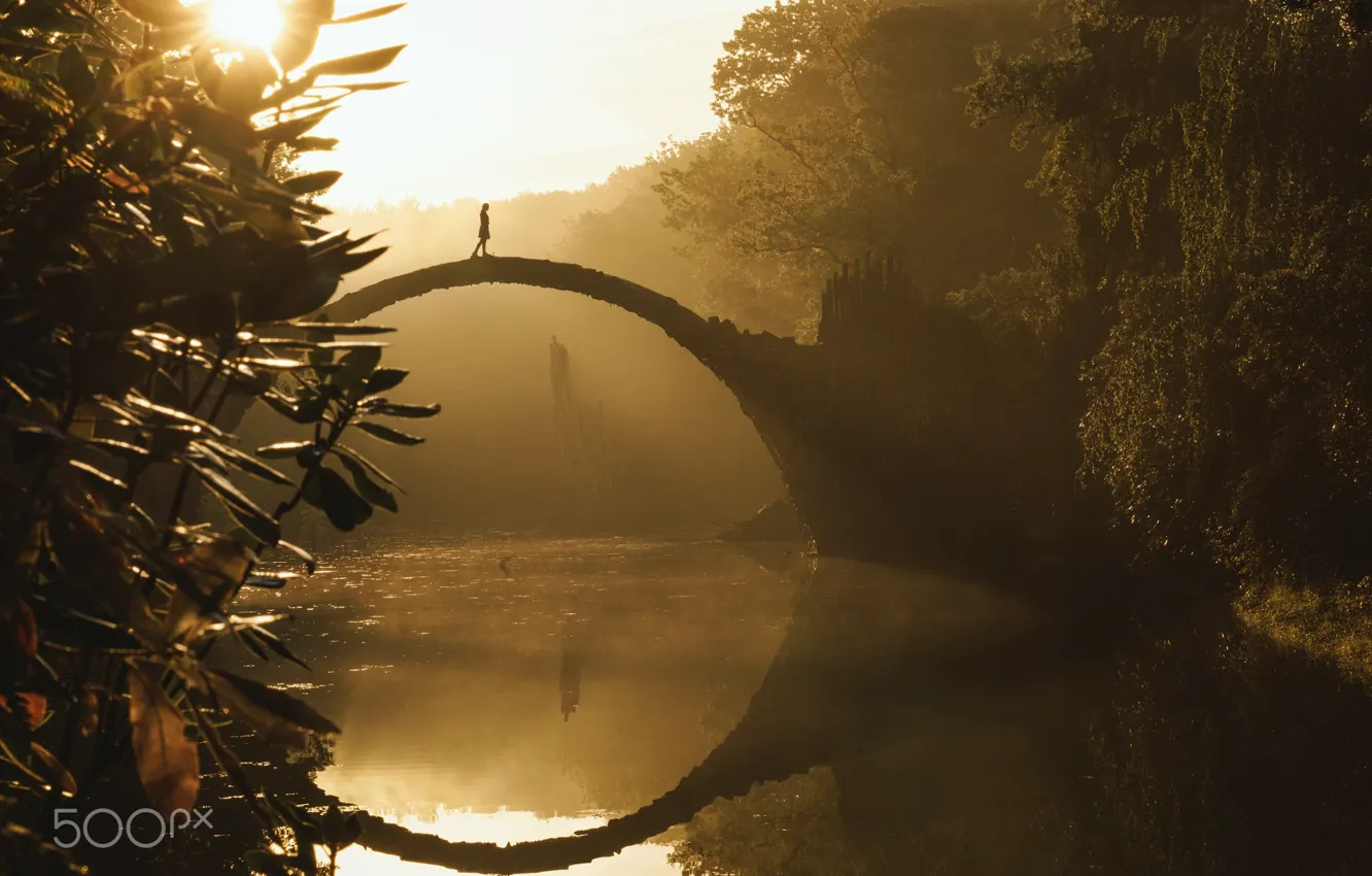 Фото обои девушка, свет, деревья, парк, река, мостик