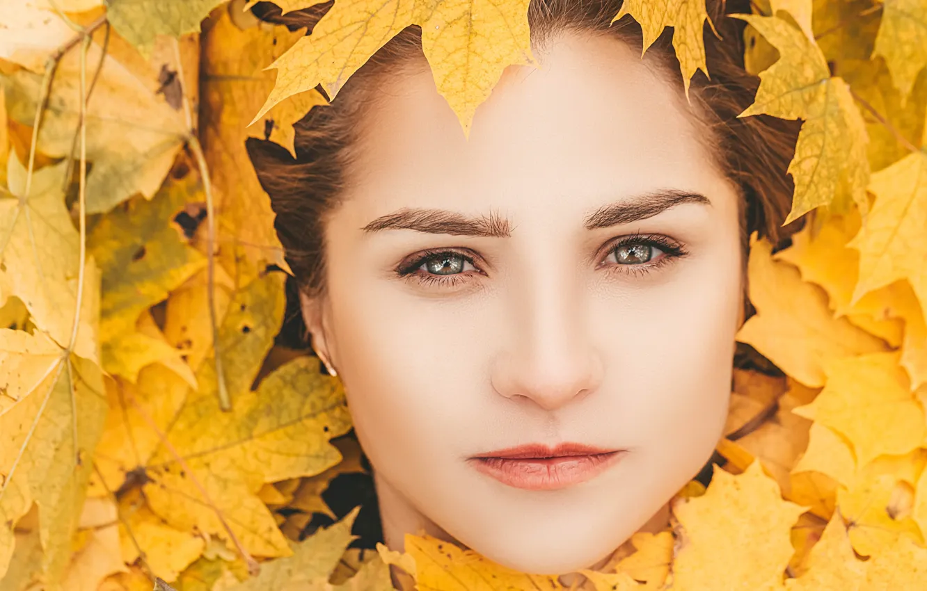 Фото обои осень, взгляд, листья, девушка, крупный план, лицо, портрет, макияж