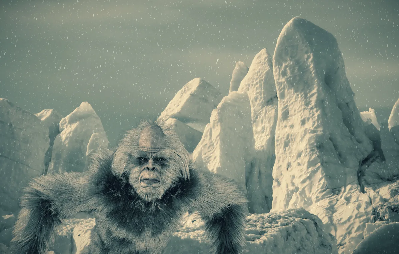Фото обои зима, горы, йети, снежный человек
