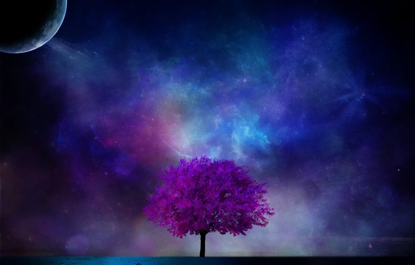 Фото обои космос, ночь, дерево