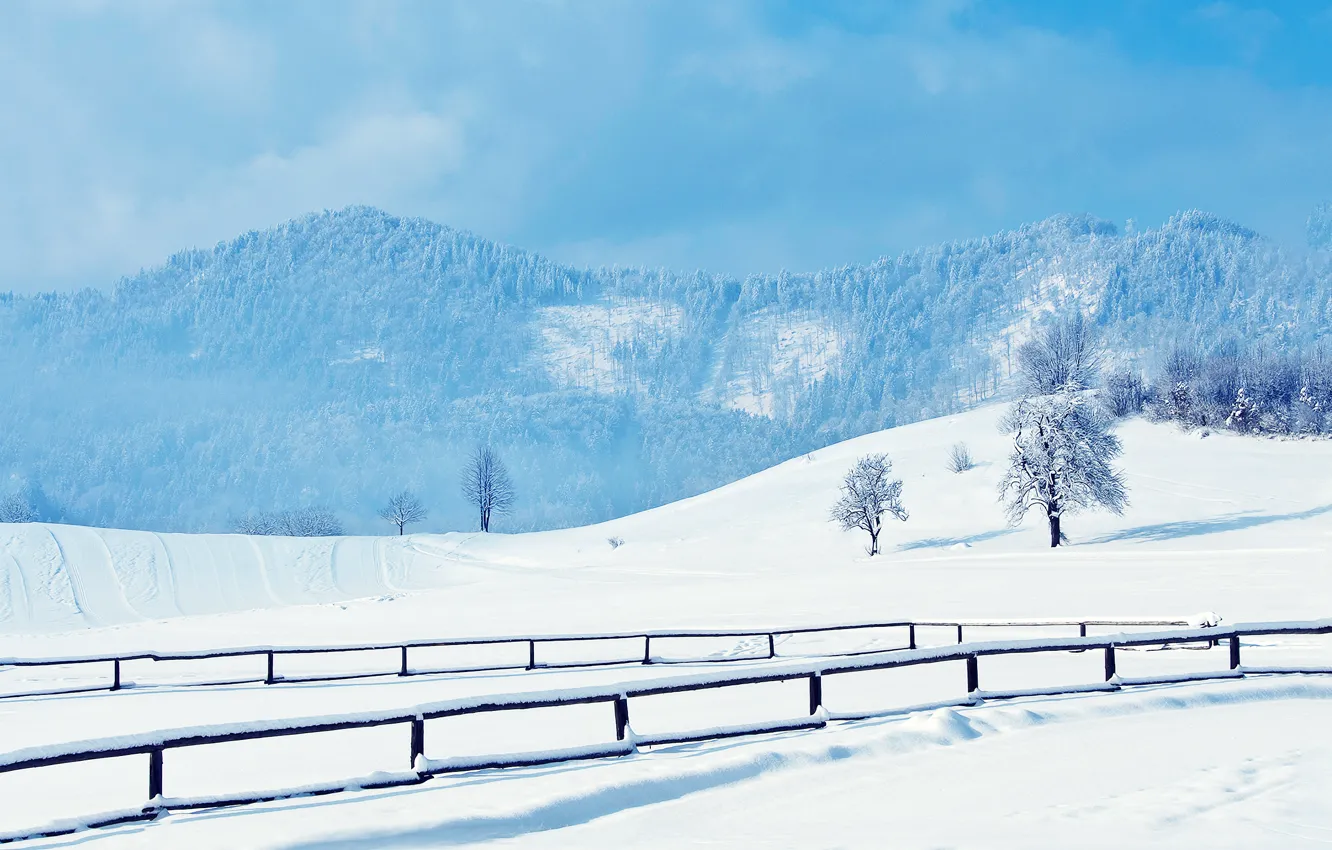 Фото обои зима, дорога, снег, деревья, следы, холмы, перила