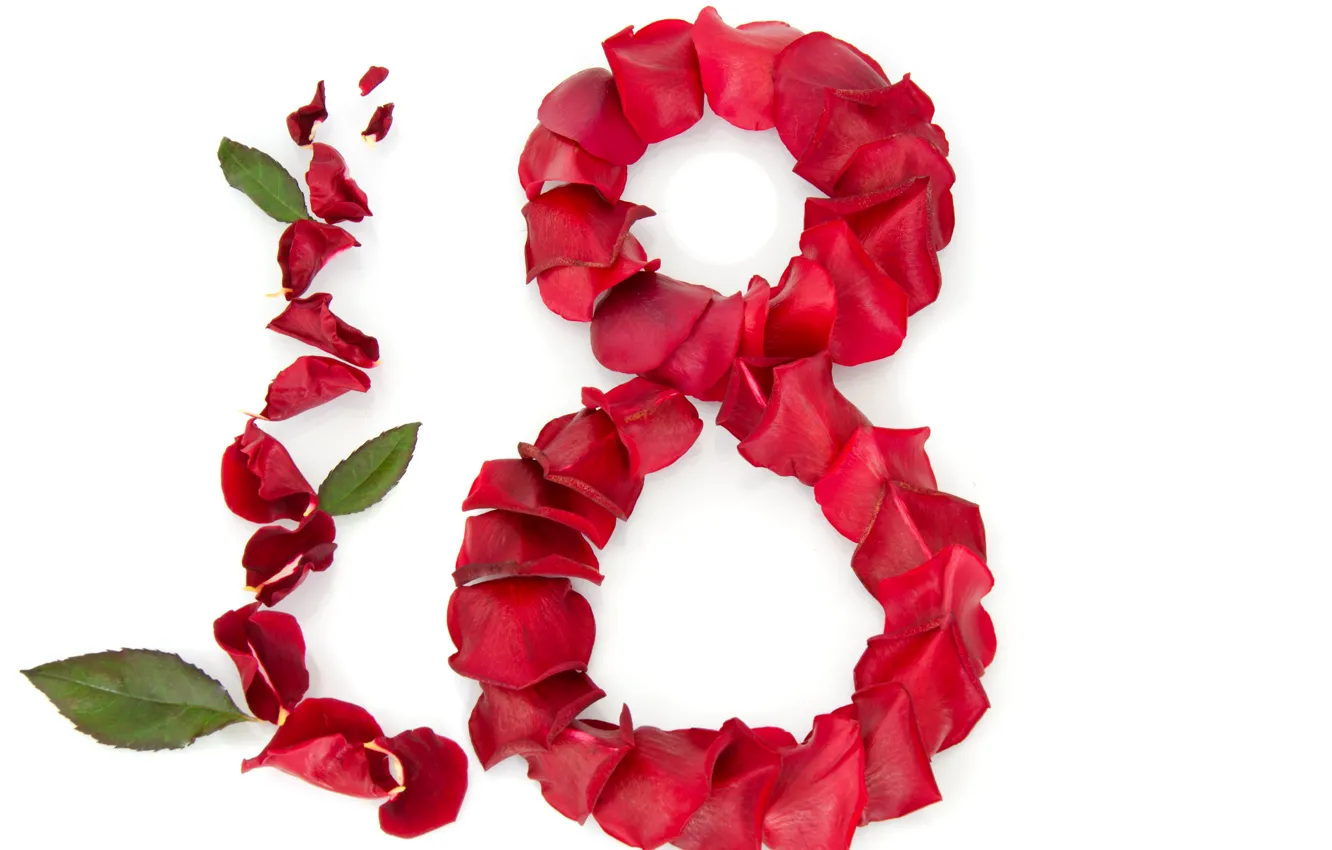 Фото обои розы, лепестки, красные, белый фон, листочки, 8 марта, поздравление, женский день