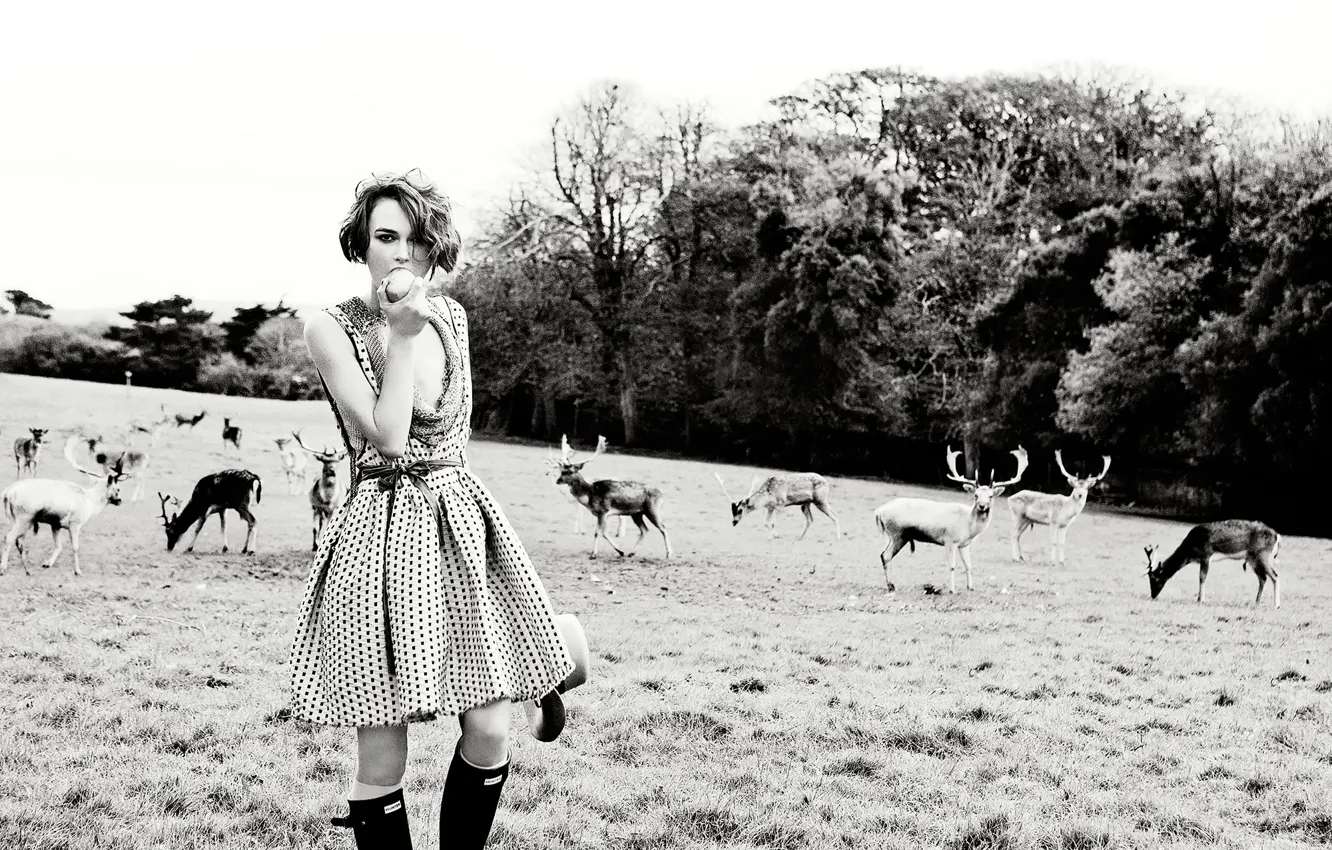 Фото обои поле, Keira Knightley, олени, Vogue