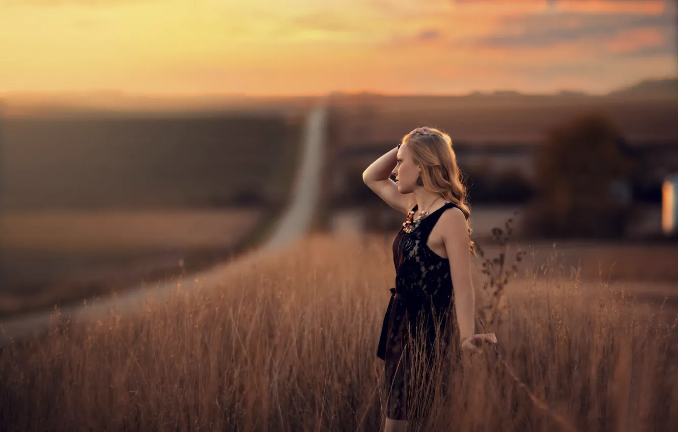 Фото обои дорога, поле, простор