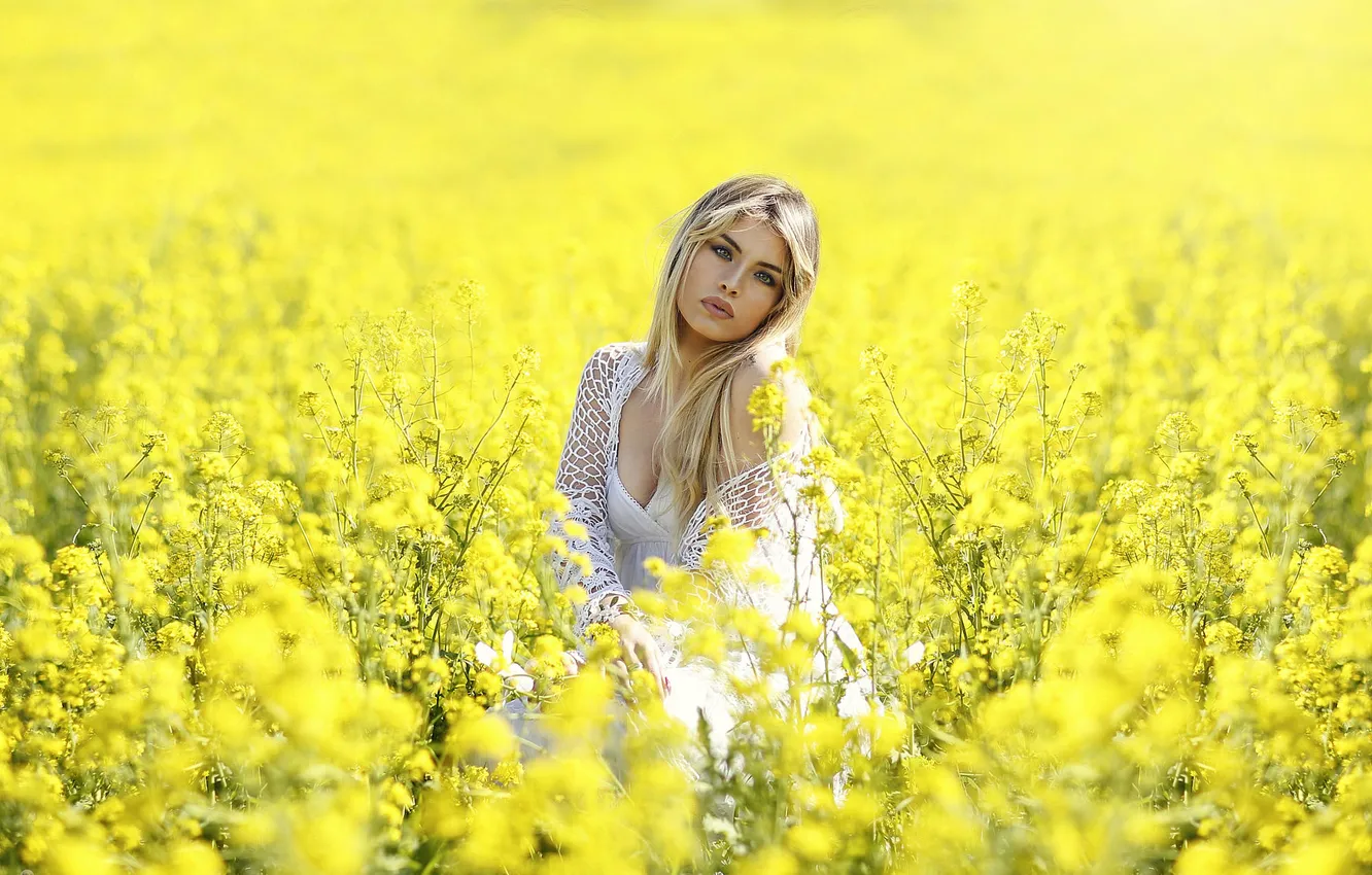 Фото обои Girl, Model, Yellow, View, Alessandro Di Cicco, Fields. Gold. Flowers