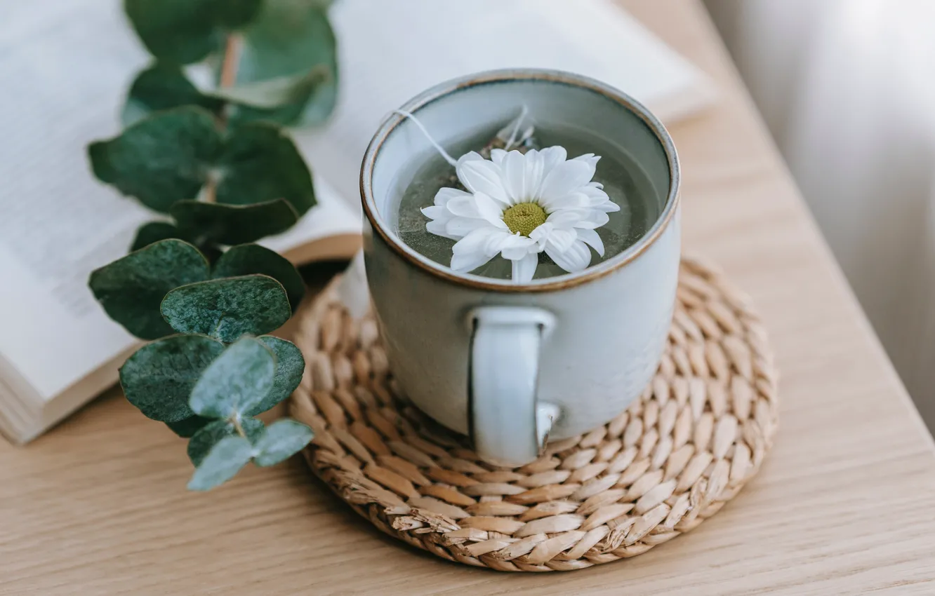 Фото обои белый, цветок, листья, стол, чай, растение, ромашка, кружка